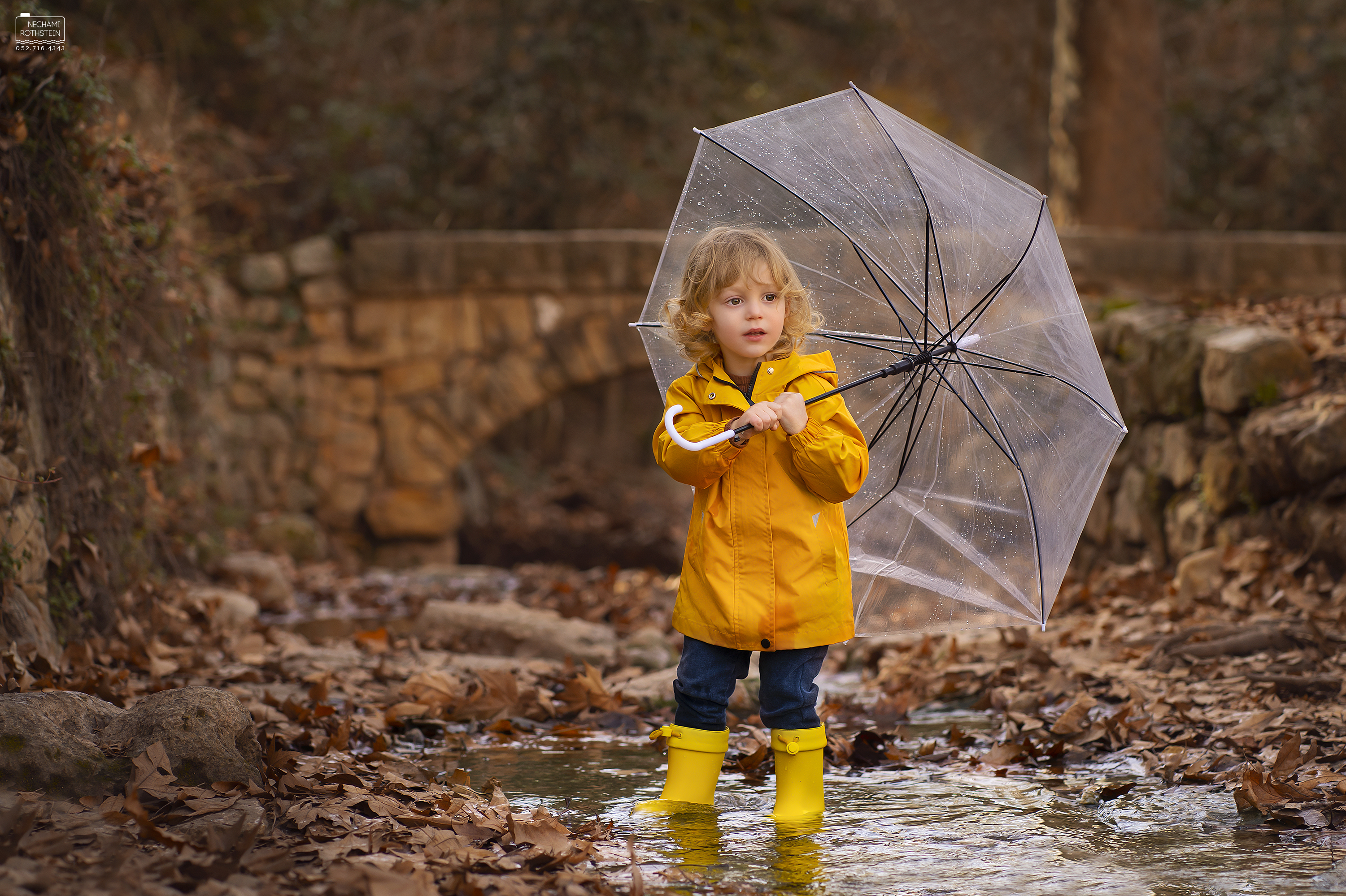 נחמי רוטשטיין 0527164343 (11).jpg