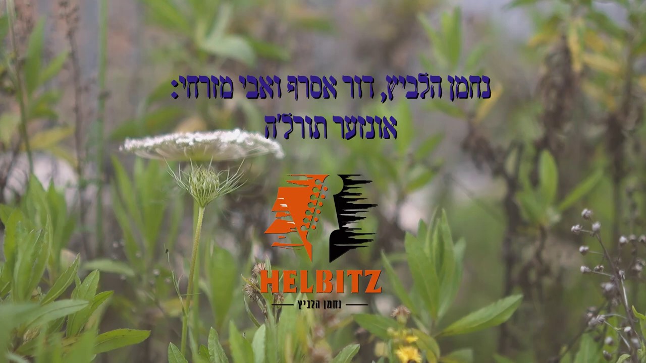 נחמן הלביץ, דור אסרף, אבי מזרחי - אונזער תורל'ה.jpg