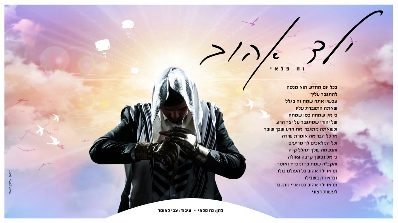 נח פלאי - ילד אהוב.jpg