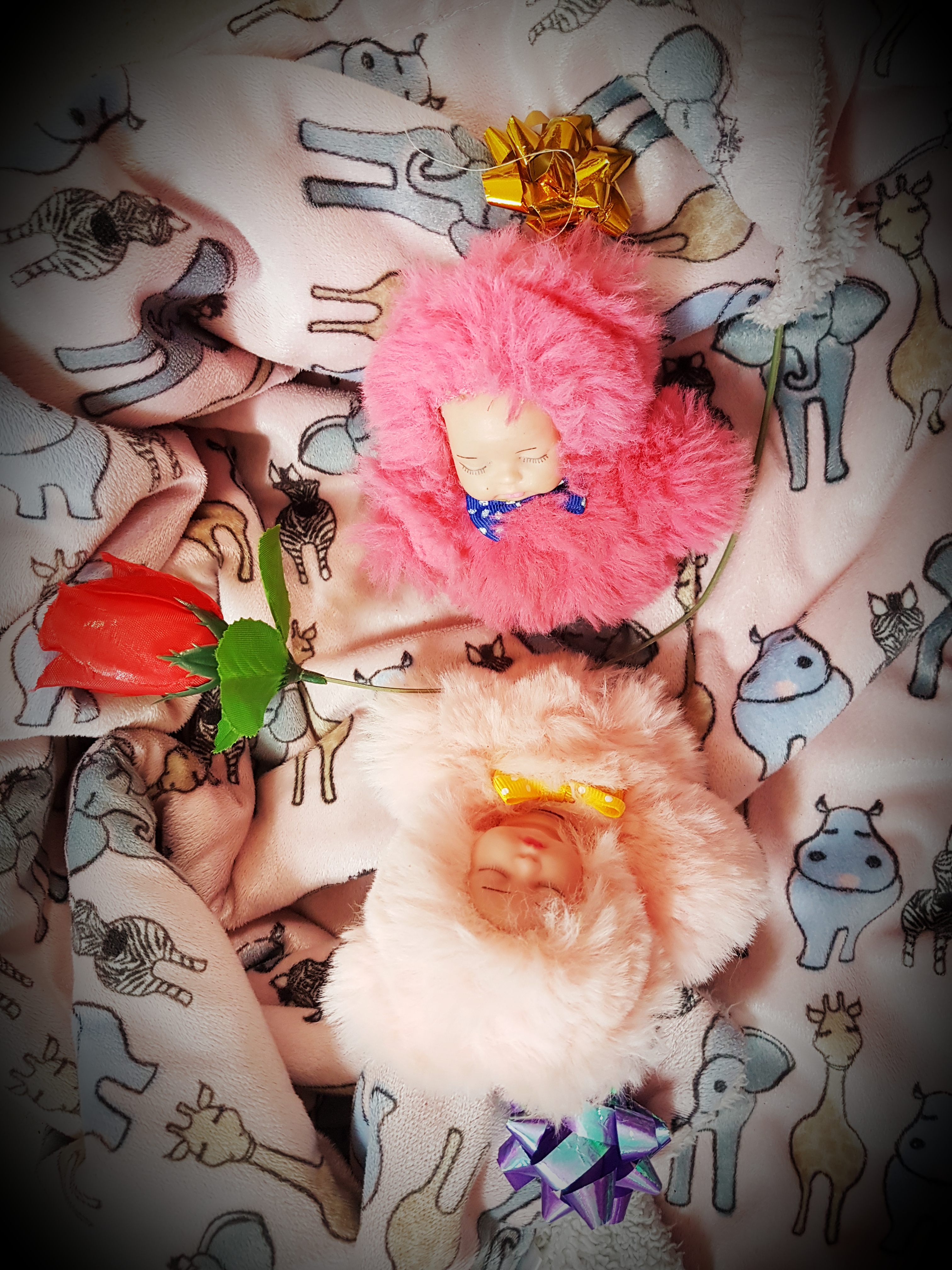 ניו בורן בובות 2.jpg