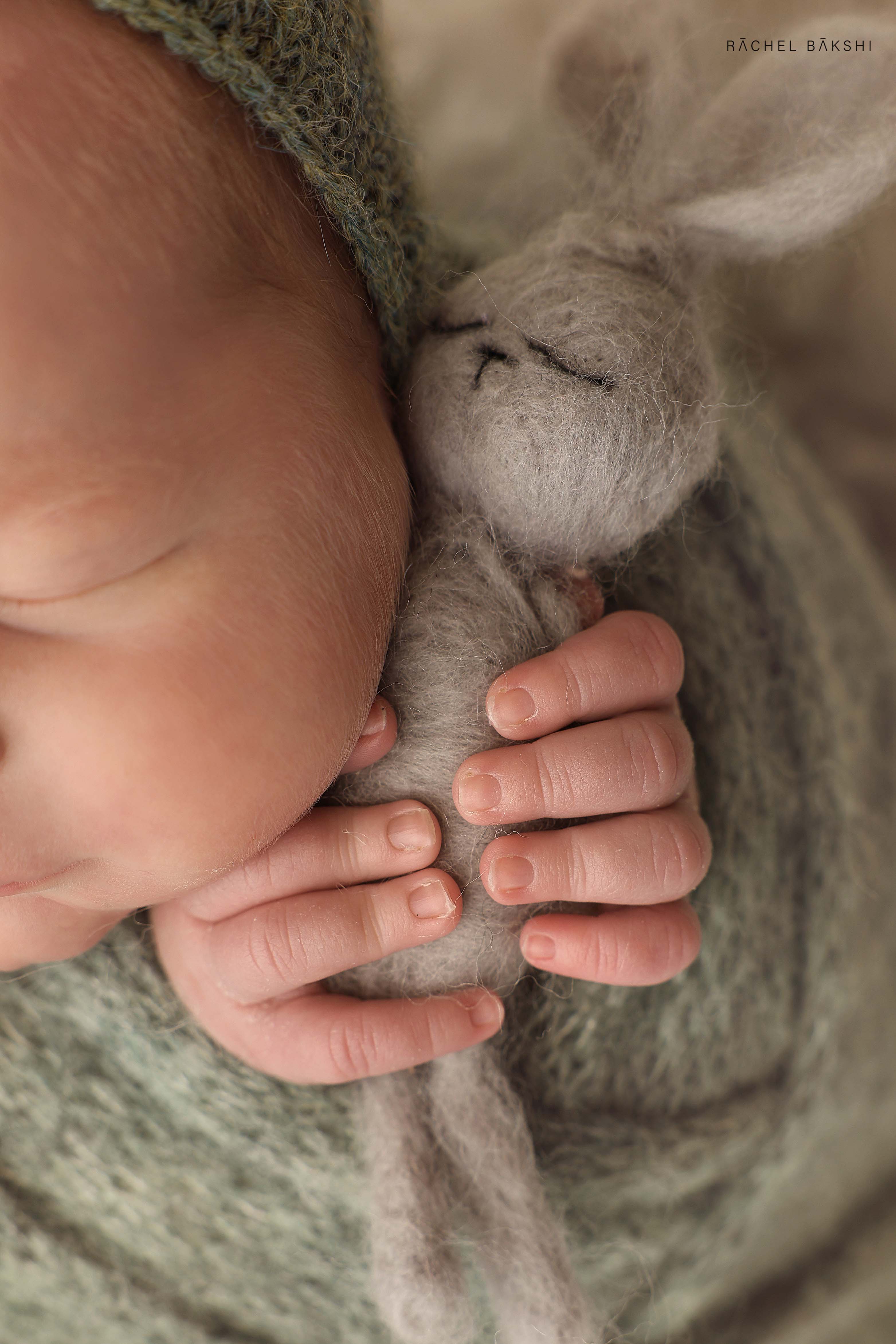 ניו בורן (1) copy.jpg