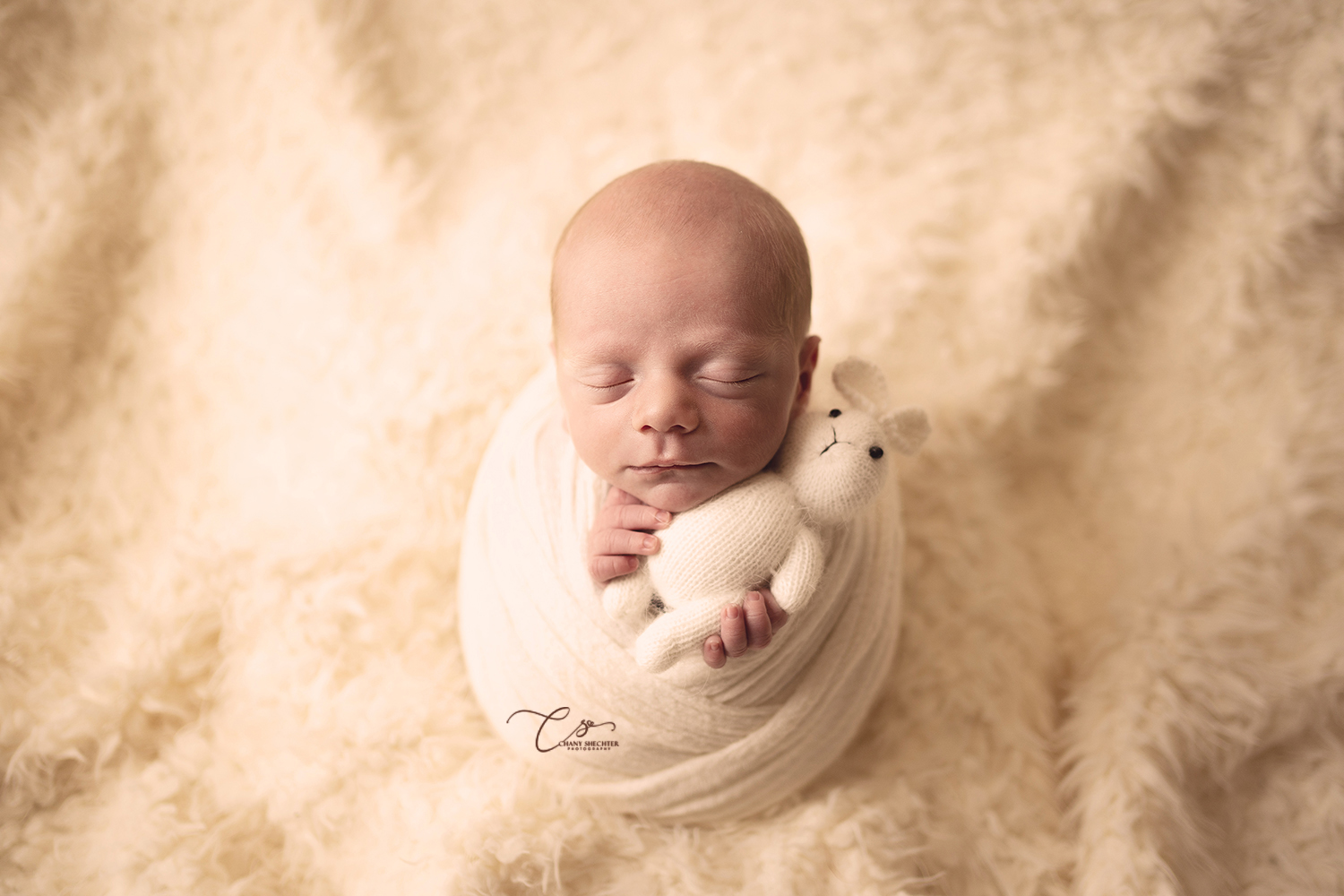 ניו בורן (4).jpg