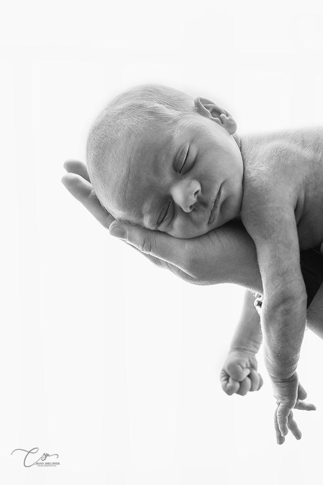 ניו בורן (944)1.jpg