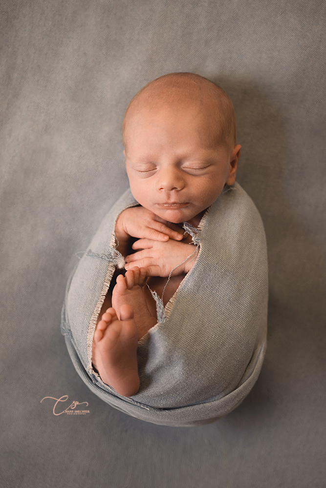 ניו בורן (976).jpg