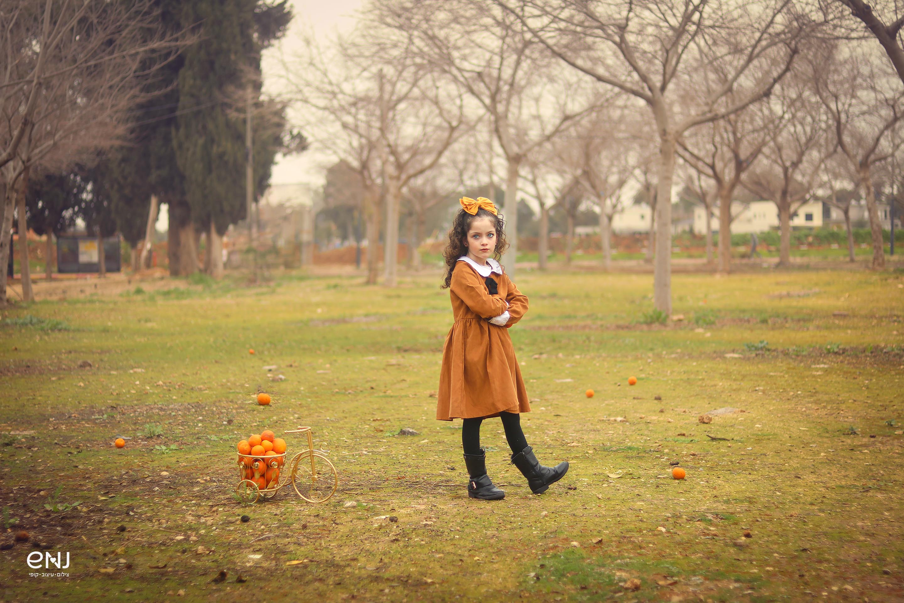 נמוך לוגו.jpg