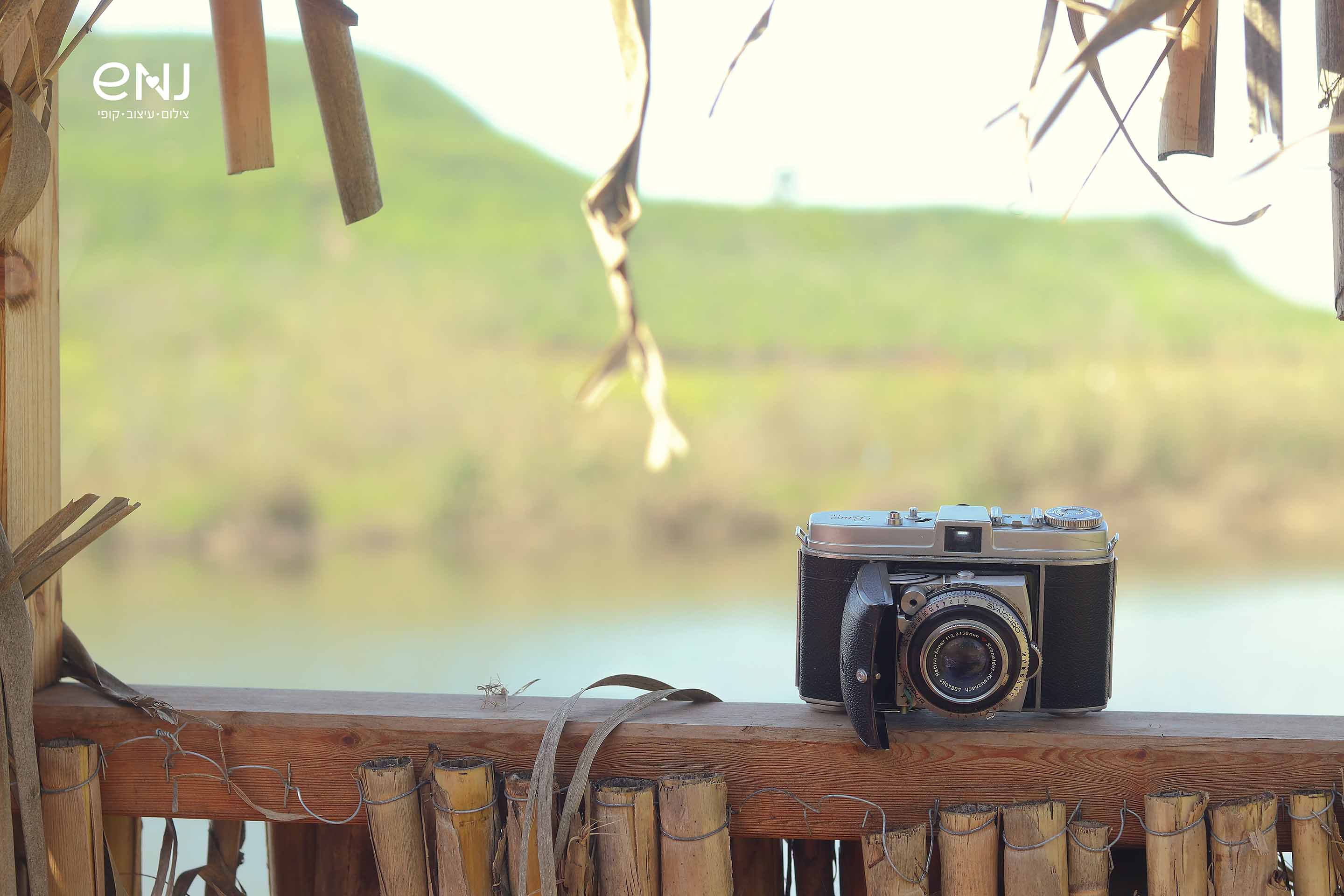 נמוכי לוג.jpg