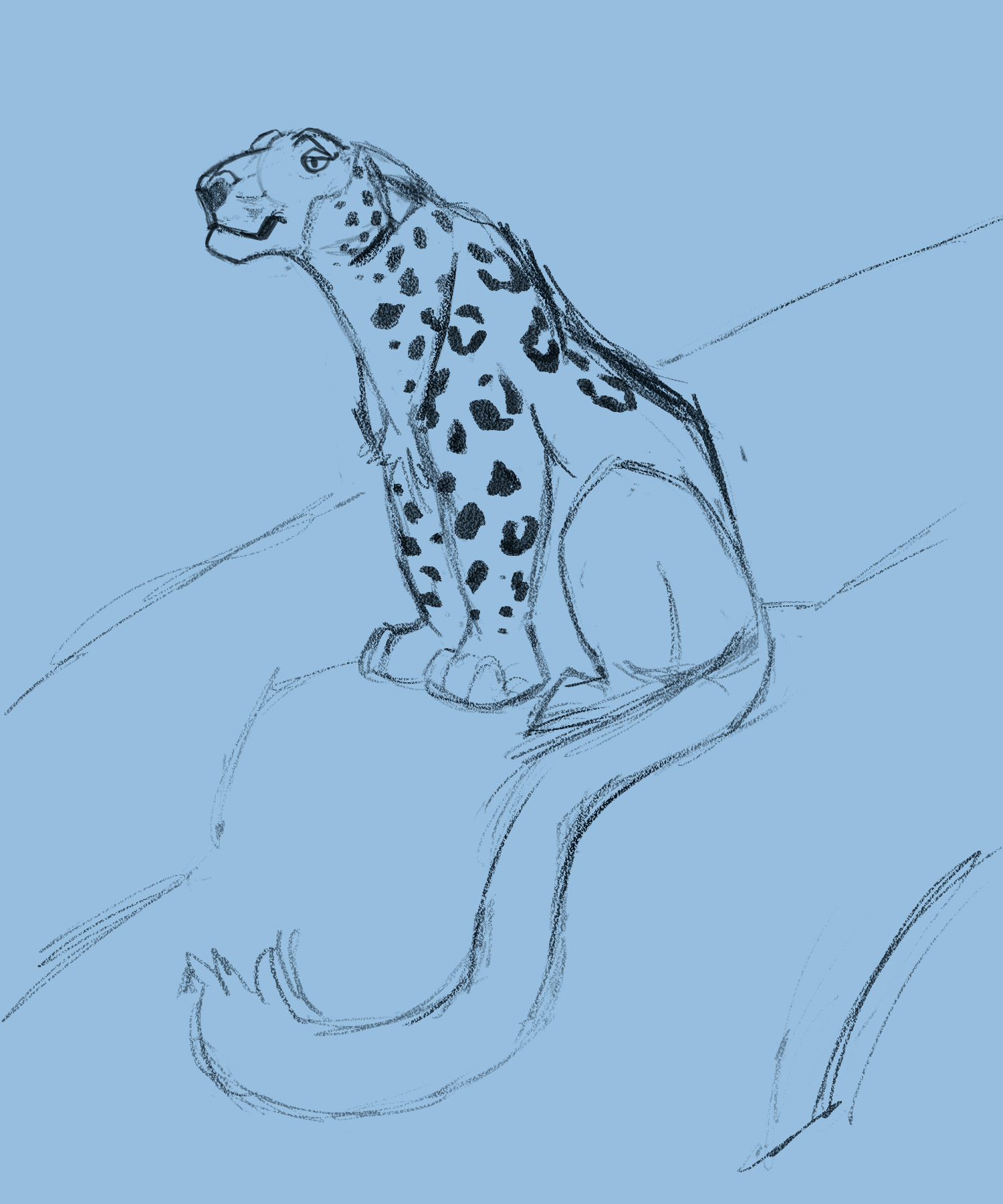 נמר הרים1.jpg