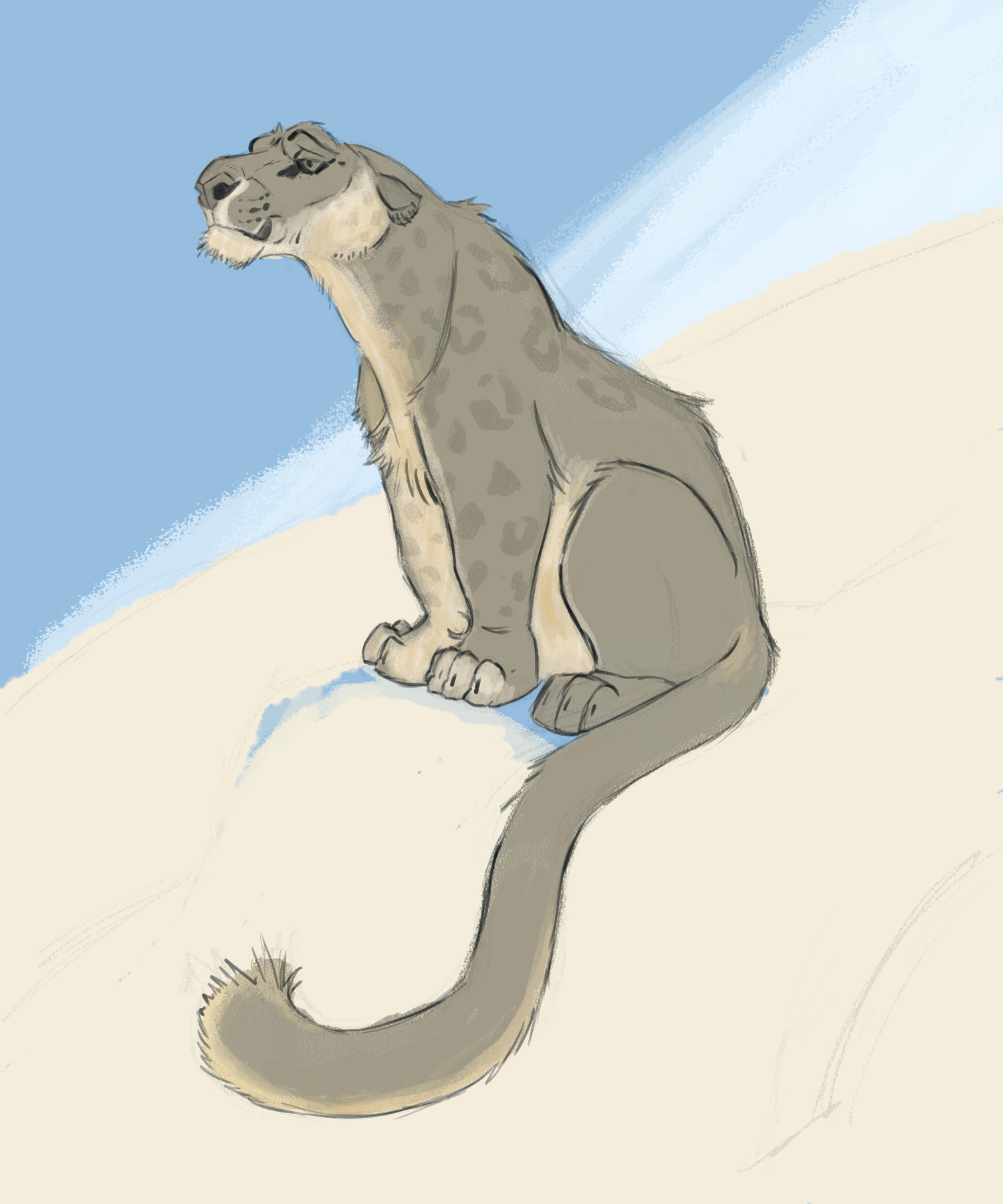 נמר הרים3.jpg