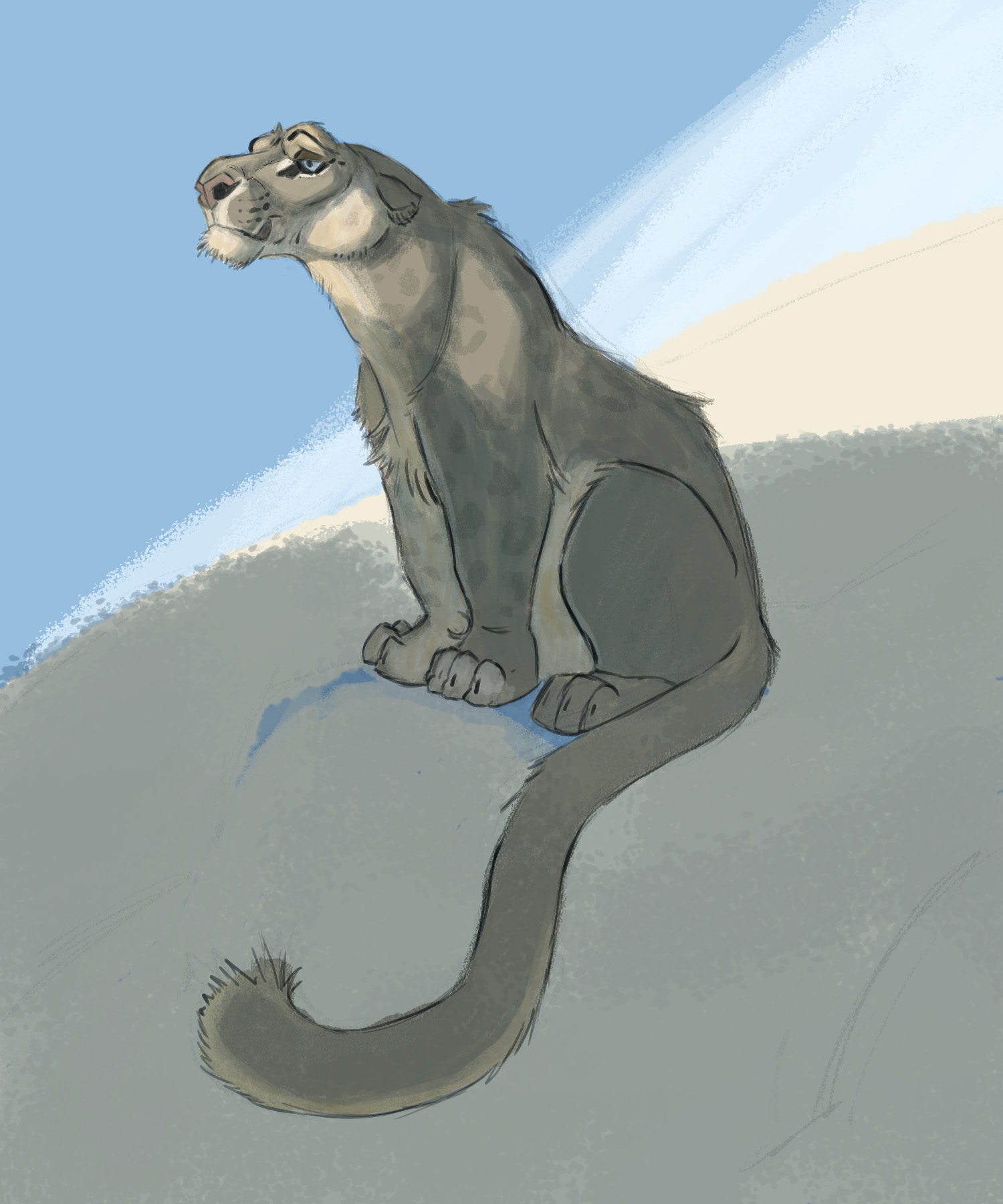 נמר הרים4.jpg