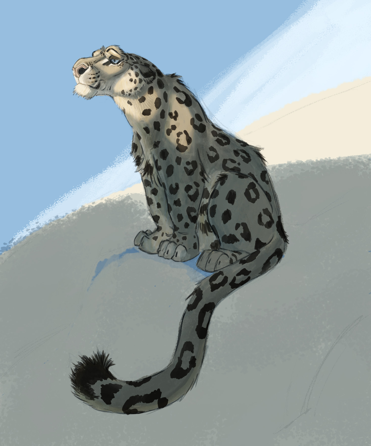 נמר הרים5.jpg