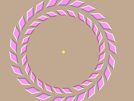 נסו לבהות בנקודה הצהובה. לאחר מכן, הזיזו את הראש קרוב יותר אל המסך ולפתע הטבעות הוורודות יסתוב...jpg