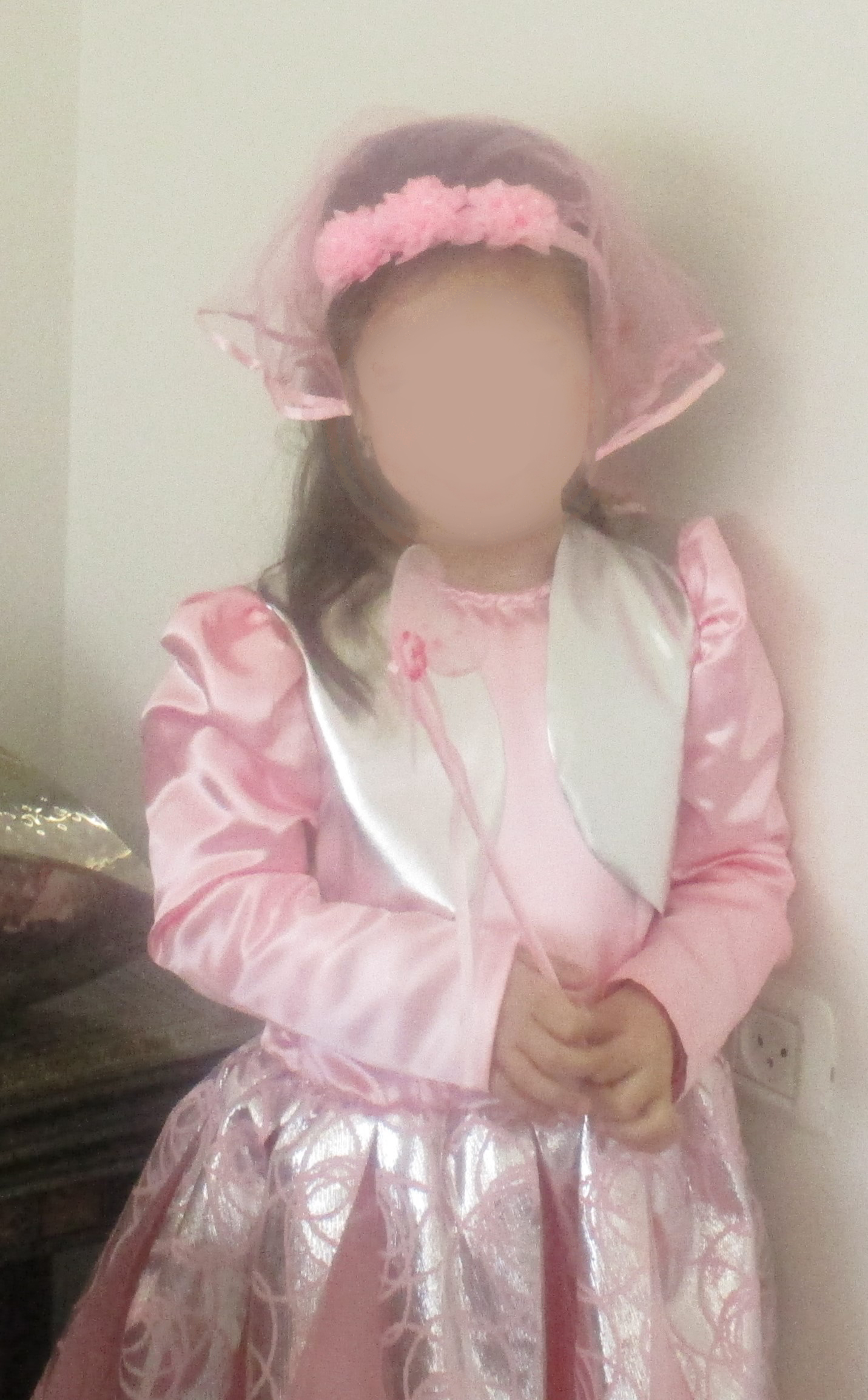 נסיכה ורודה כסופה.jpg