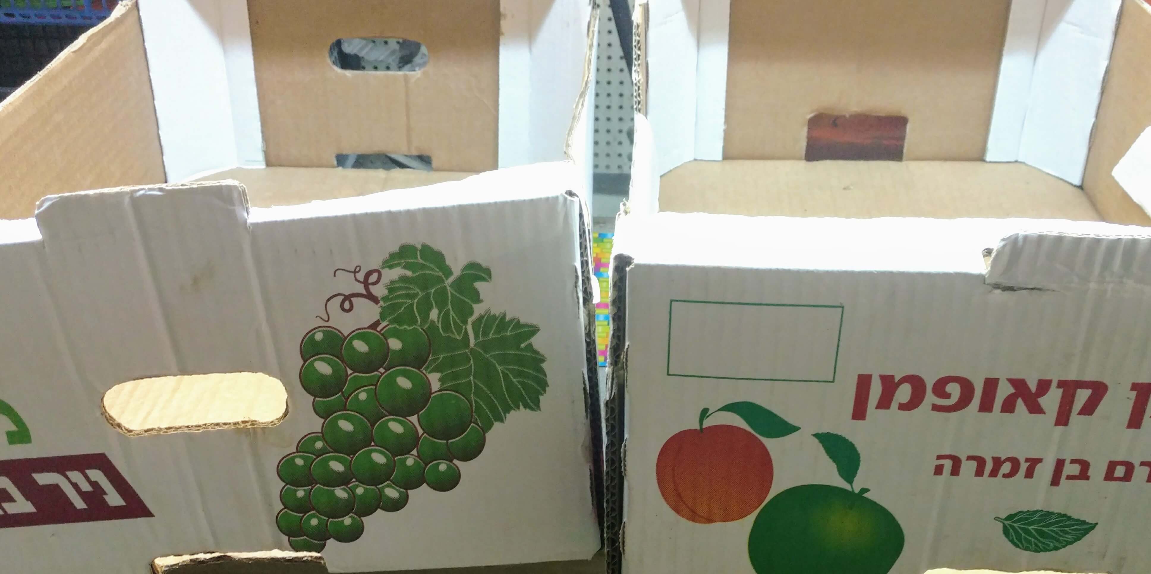 נעלי ריצה (2).jpg