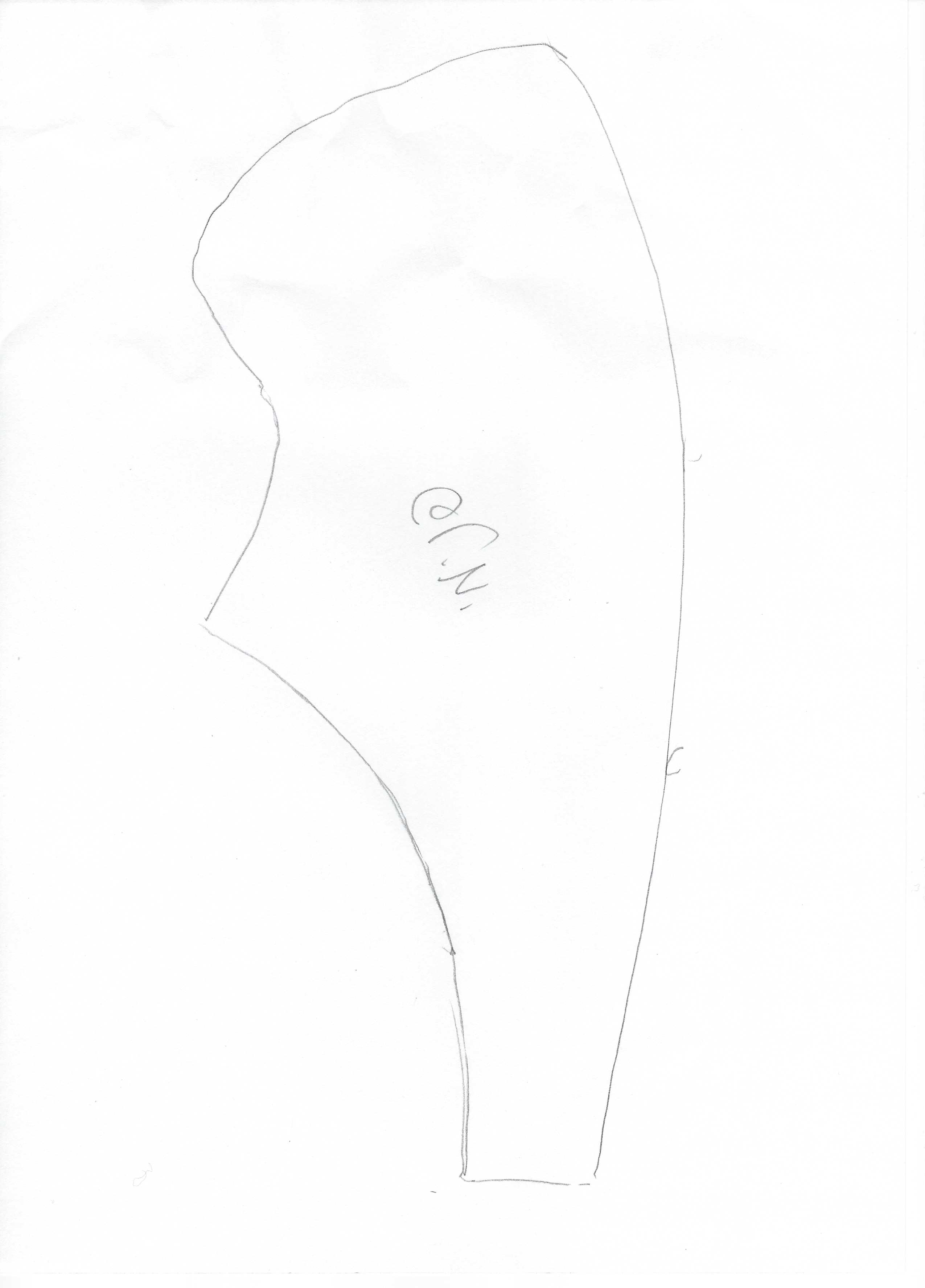 נעל הולנדית 1.jpg