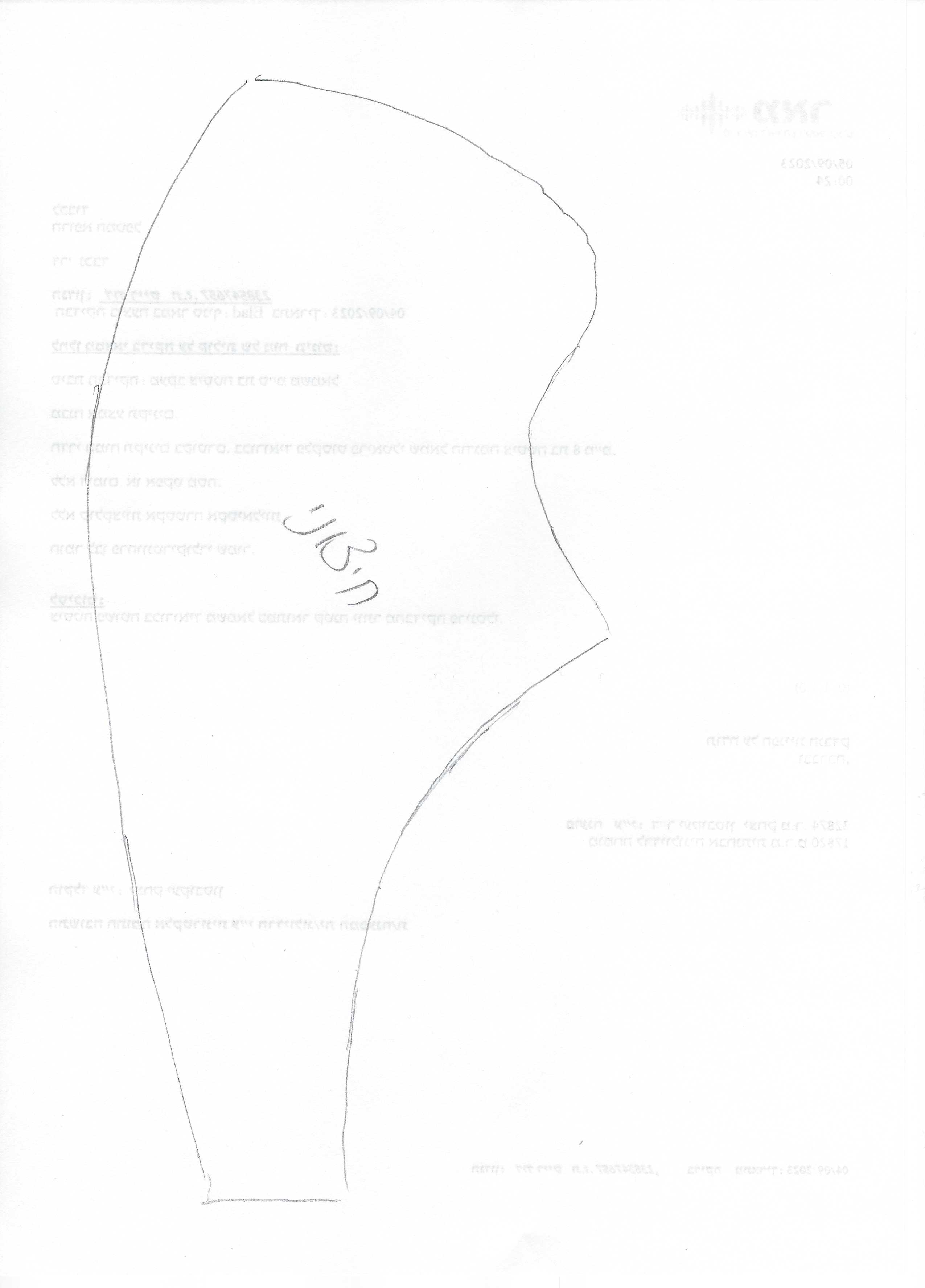 נעל הולנדית 2.jpg