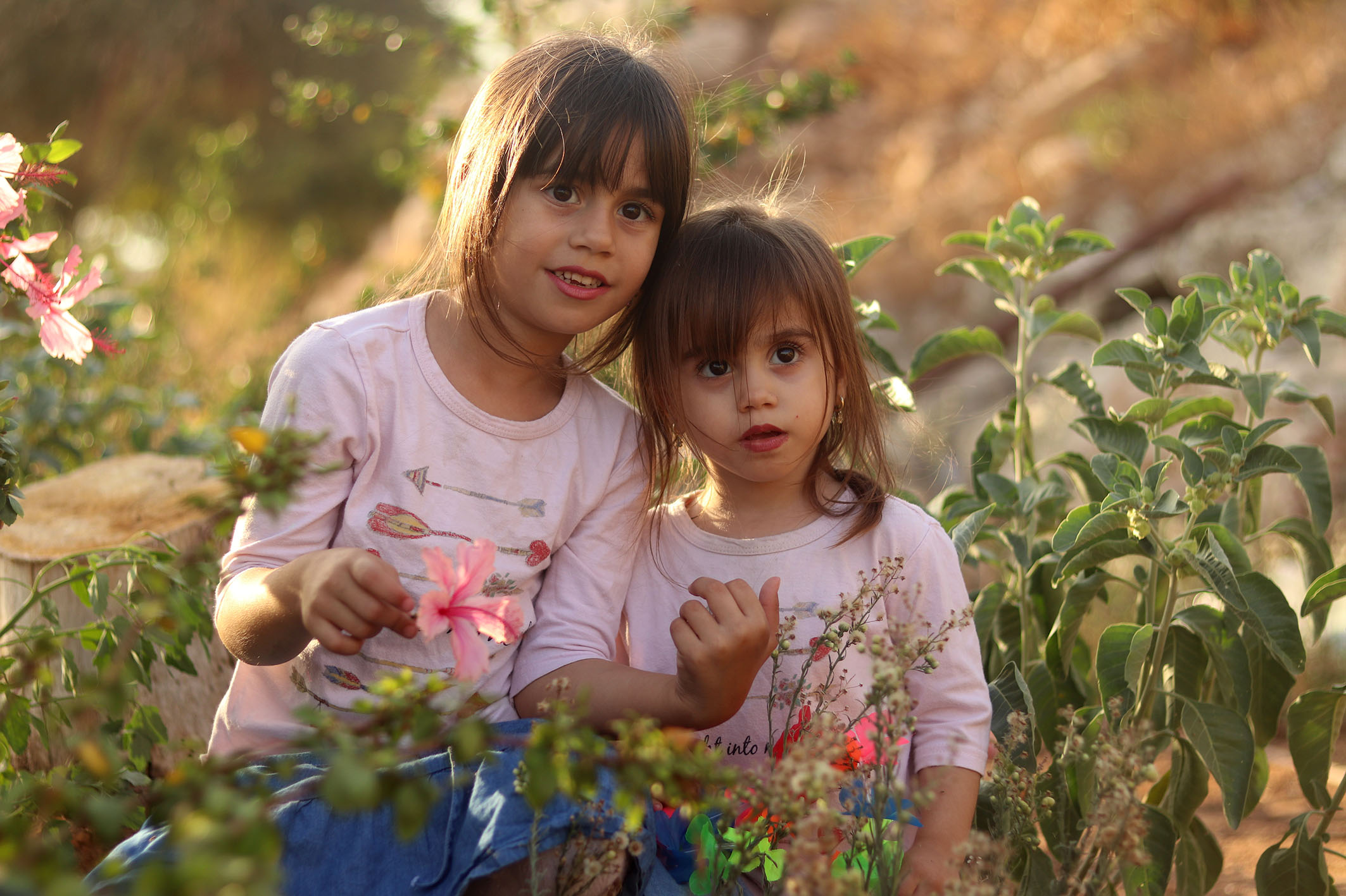 נעמה דויד ג.jpg