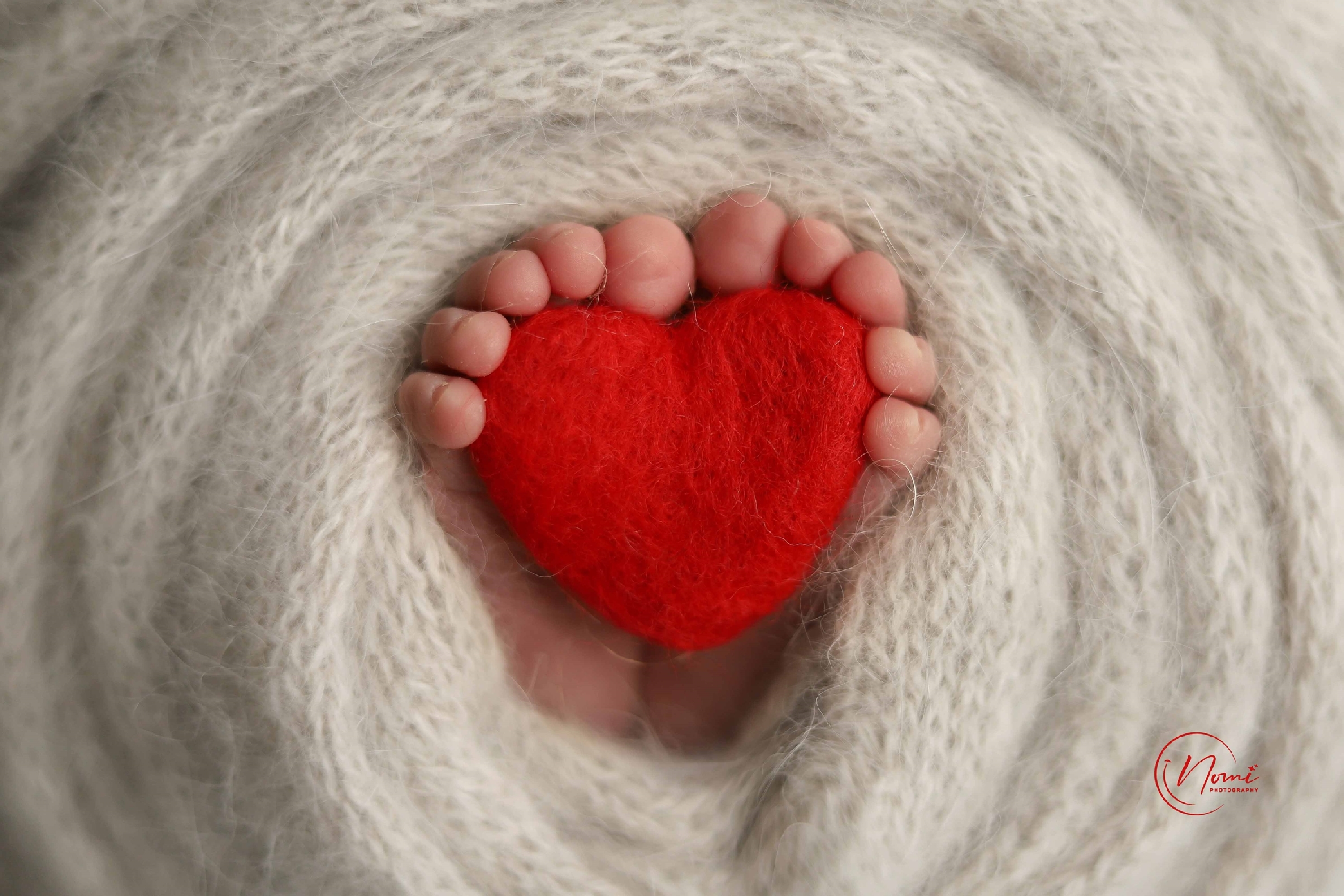 נעמי צלמת 8 0504102067.jpg