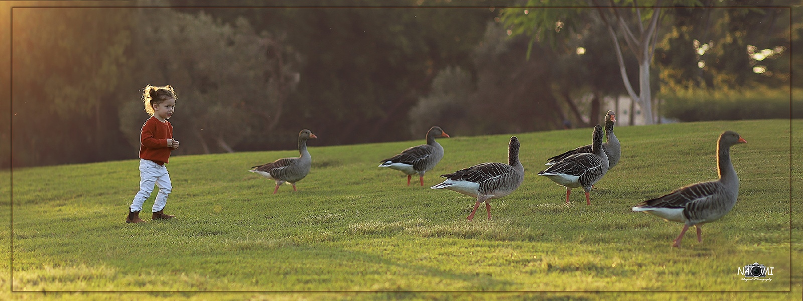 נעמי צלמת.jpg