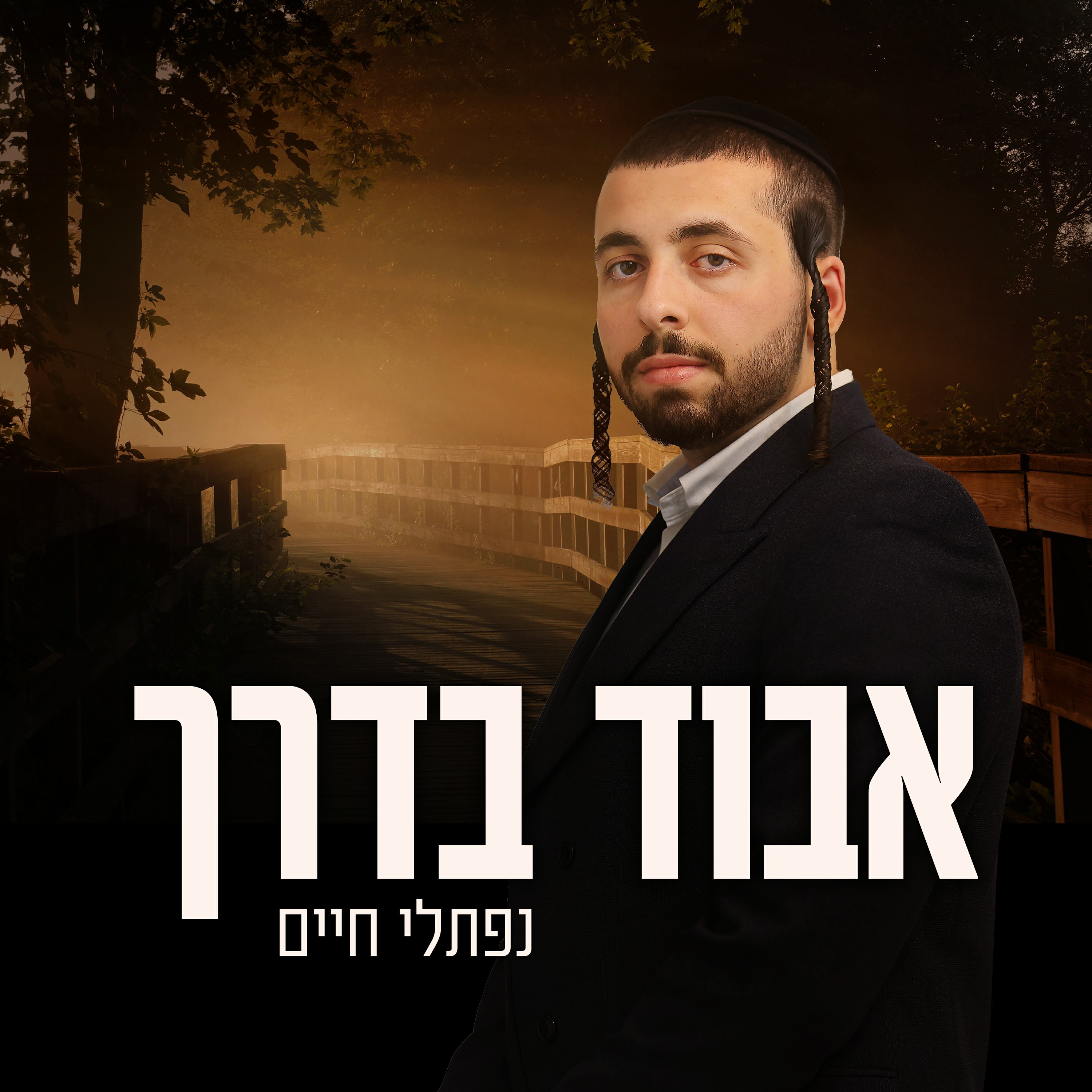 נפתלי חיים - אבוד בדרך.jpg