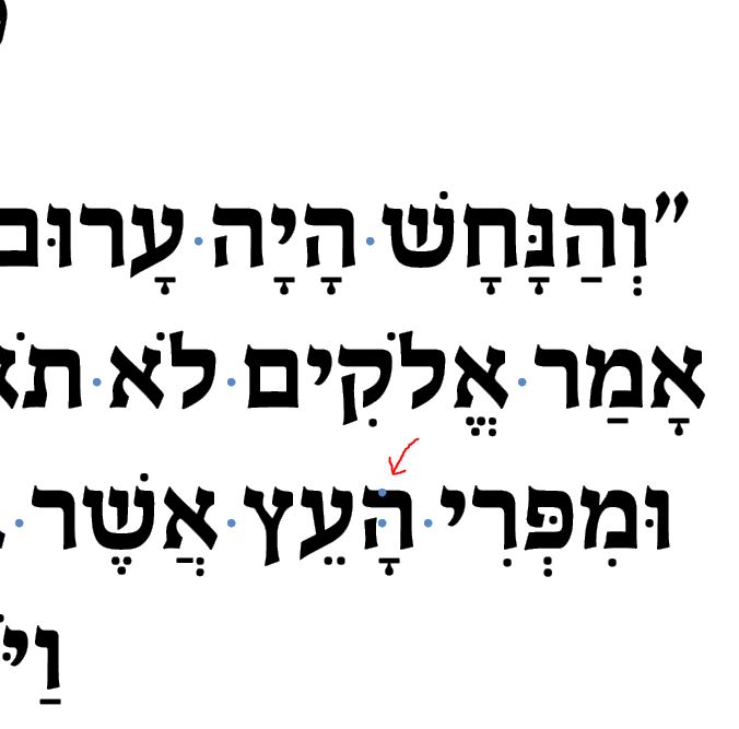 נקודותיים כחולות.JPG