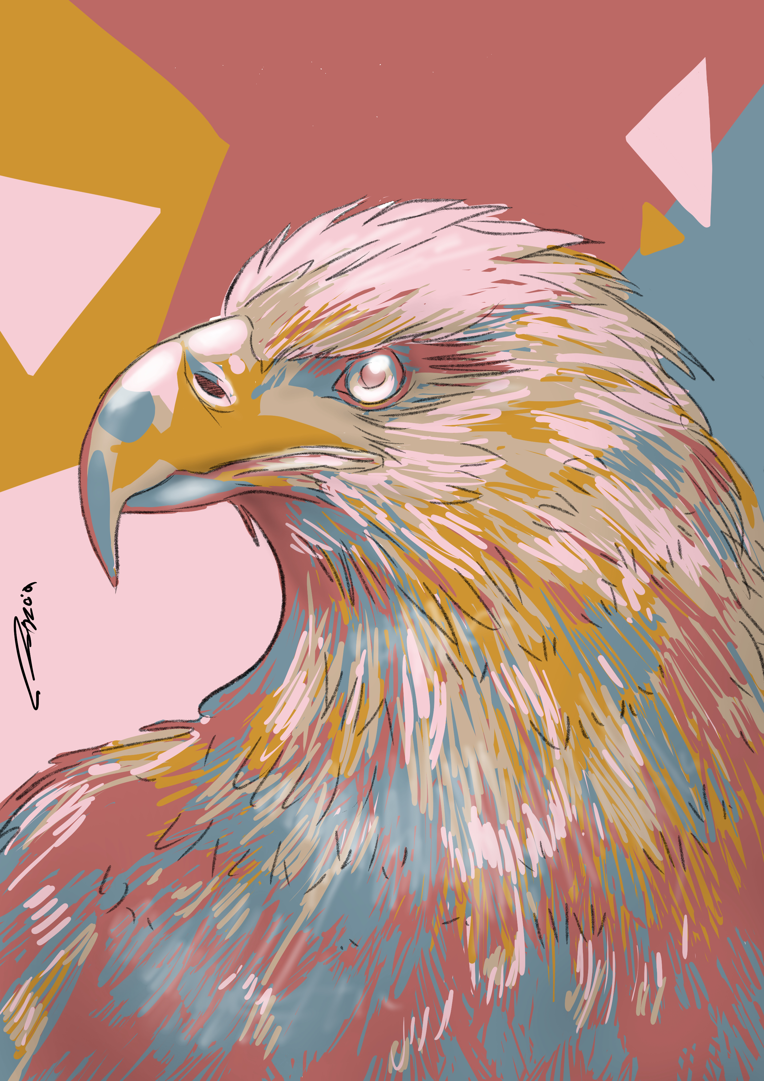 נשר צבעוני.jpg