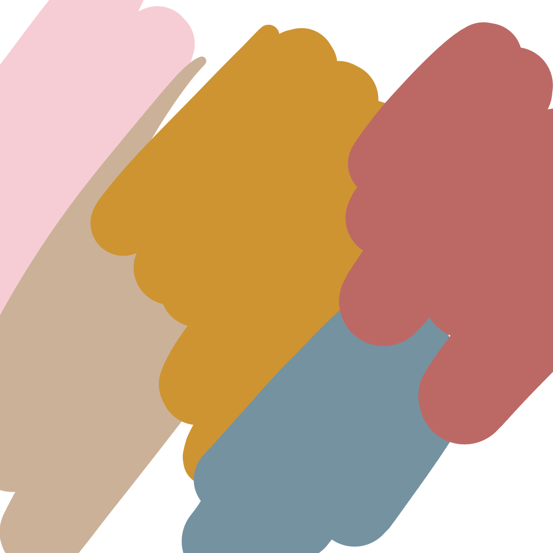 נשר צבעים.jpg