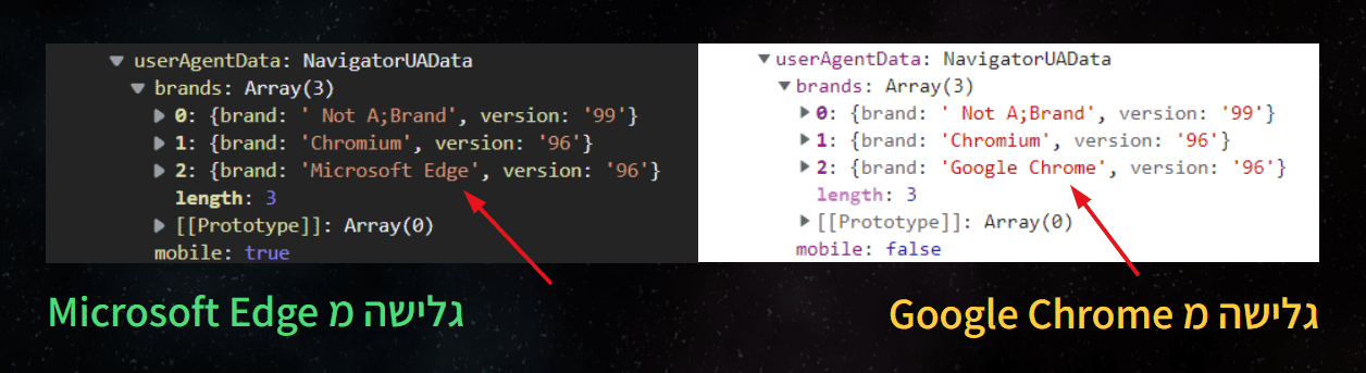 נתוני דפדפן הגלישה.png