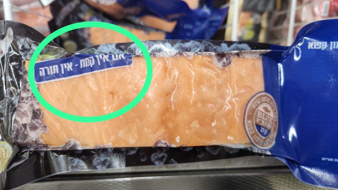 נתח פילה סלמון.jpeg