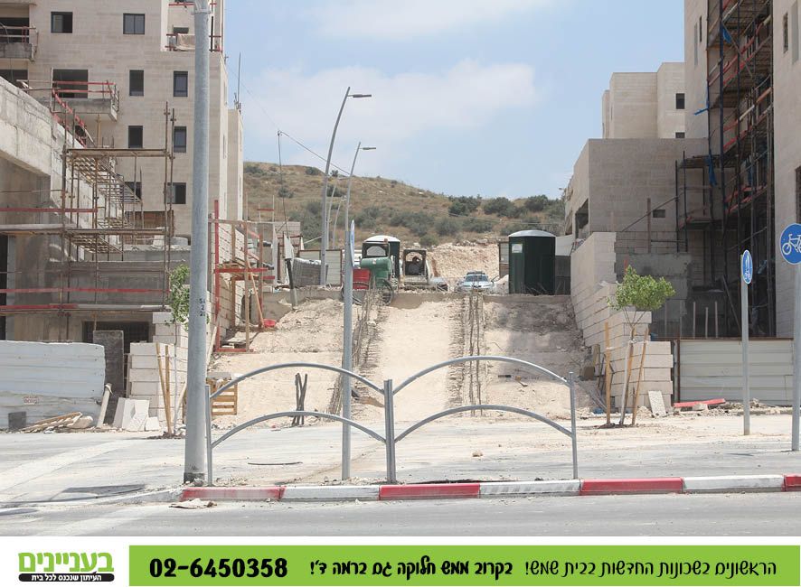 נתיב בשדרה.jpg