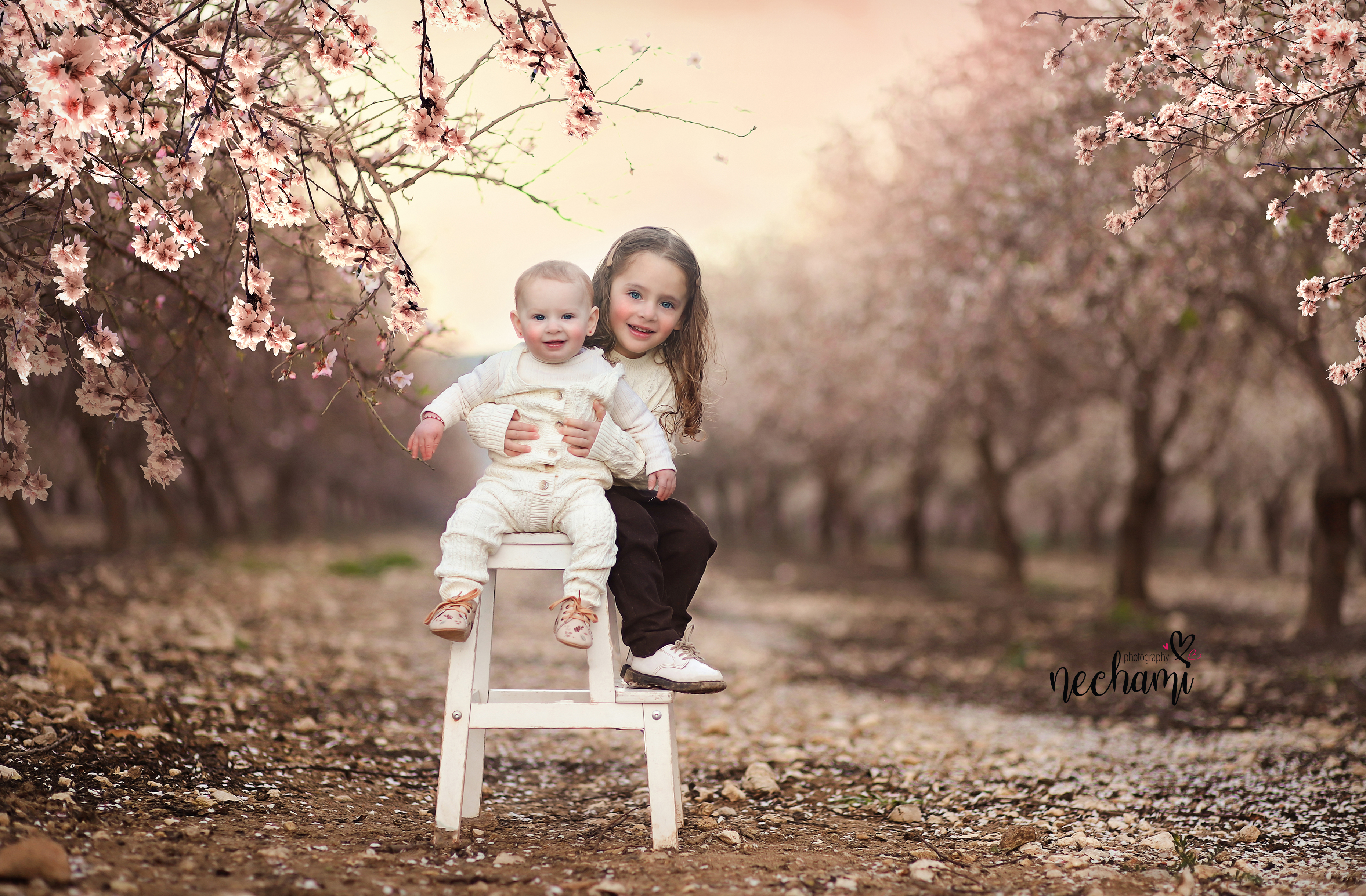 נ חמי למברגר 0548525361.jpg