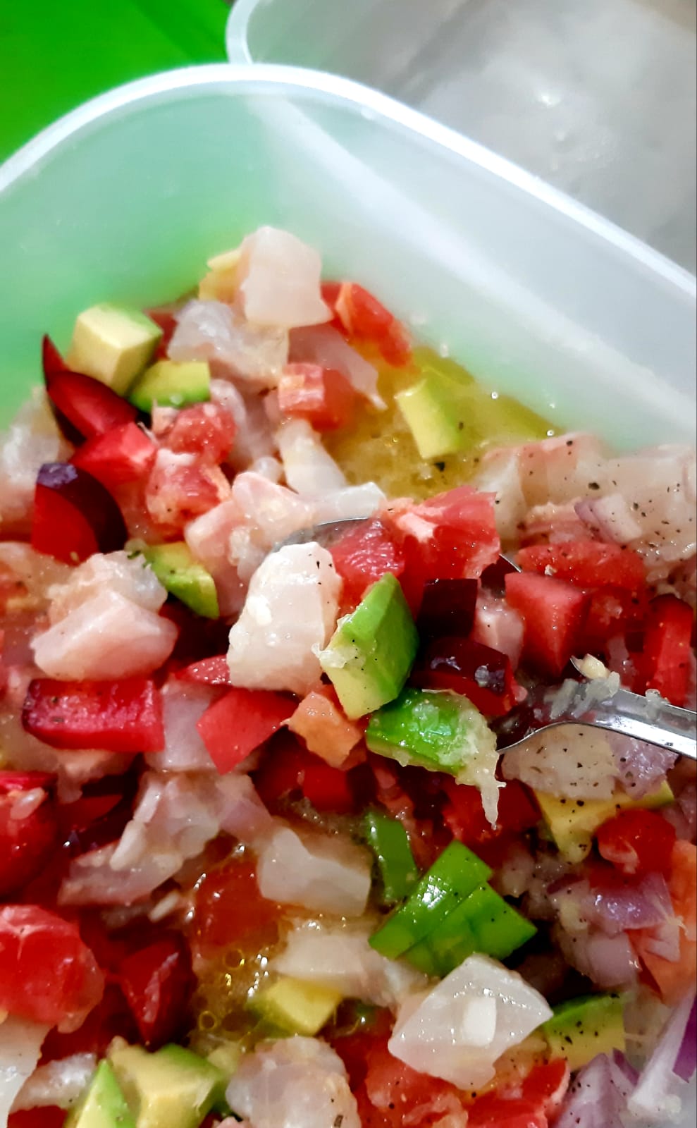 סביצ'ה דניס באבוקדו ושזיף.jpeg