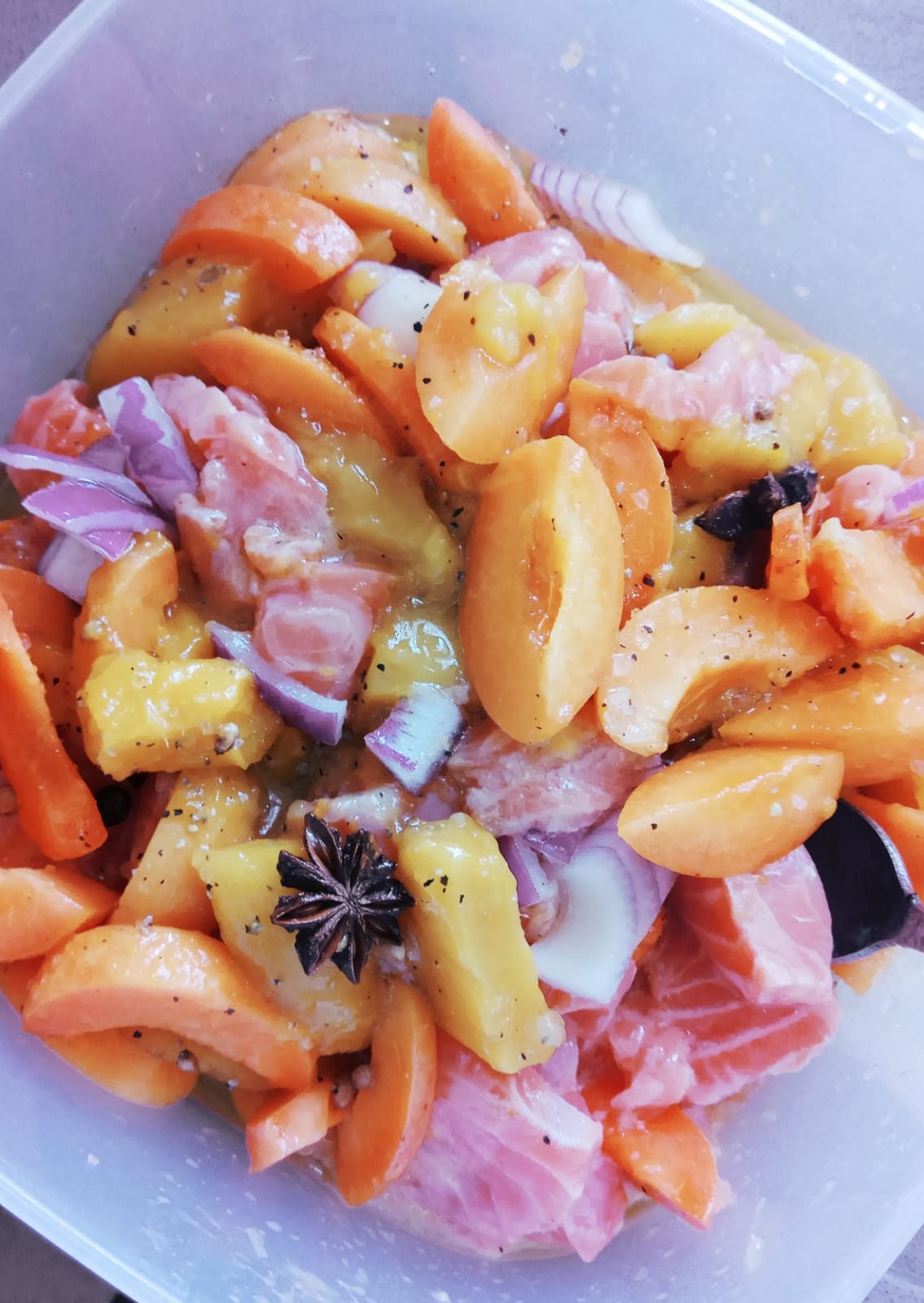 סביצ' סלמון במנגו ומשמשים.jpeg