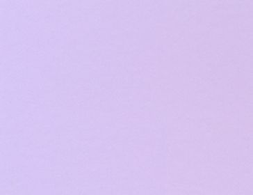 סגול לילך.jpg