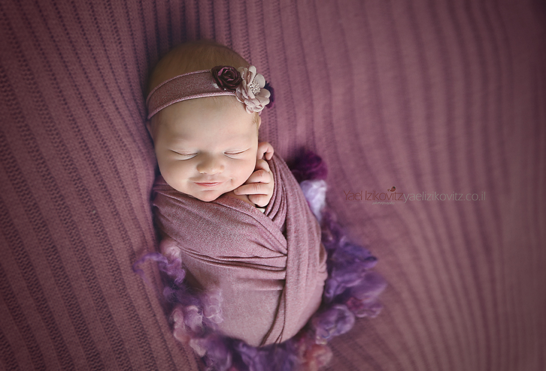 סגול 2 מוקטן.jpg