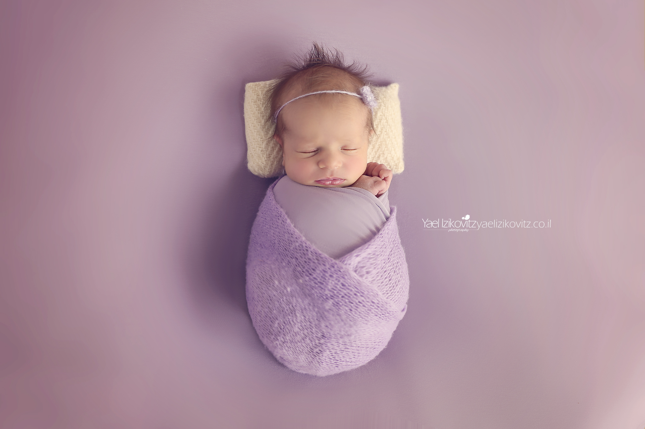 סגול.jpg מוקטן.jpg