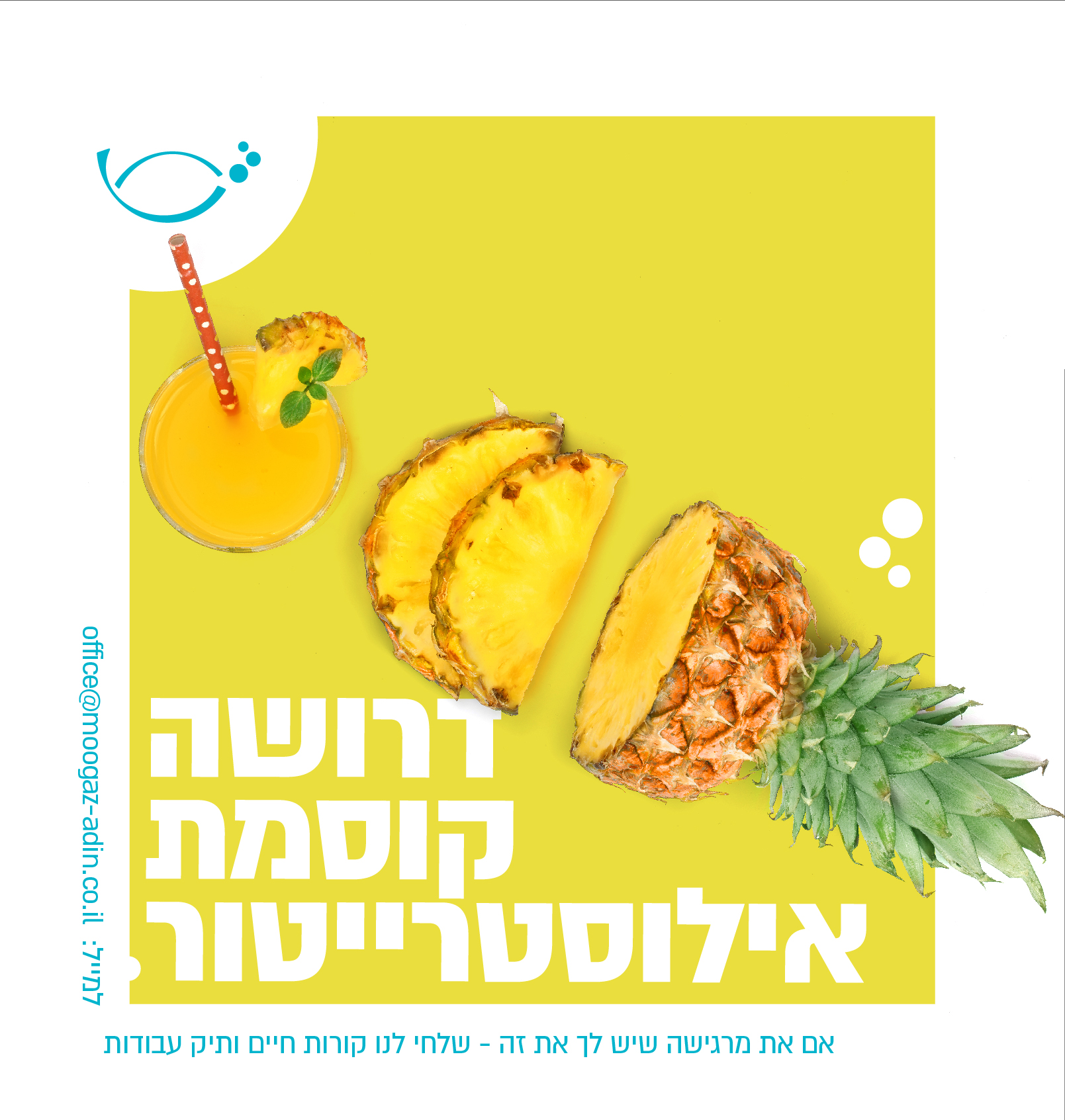 סדרה דרושה-09.jpg