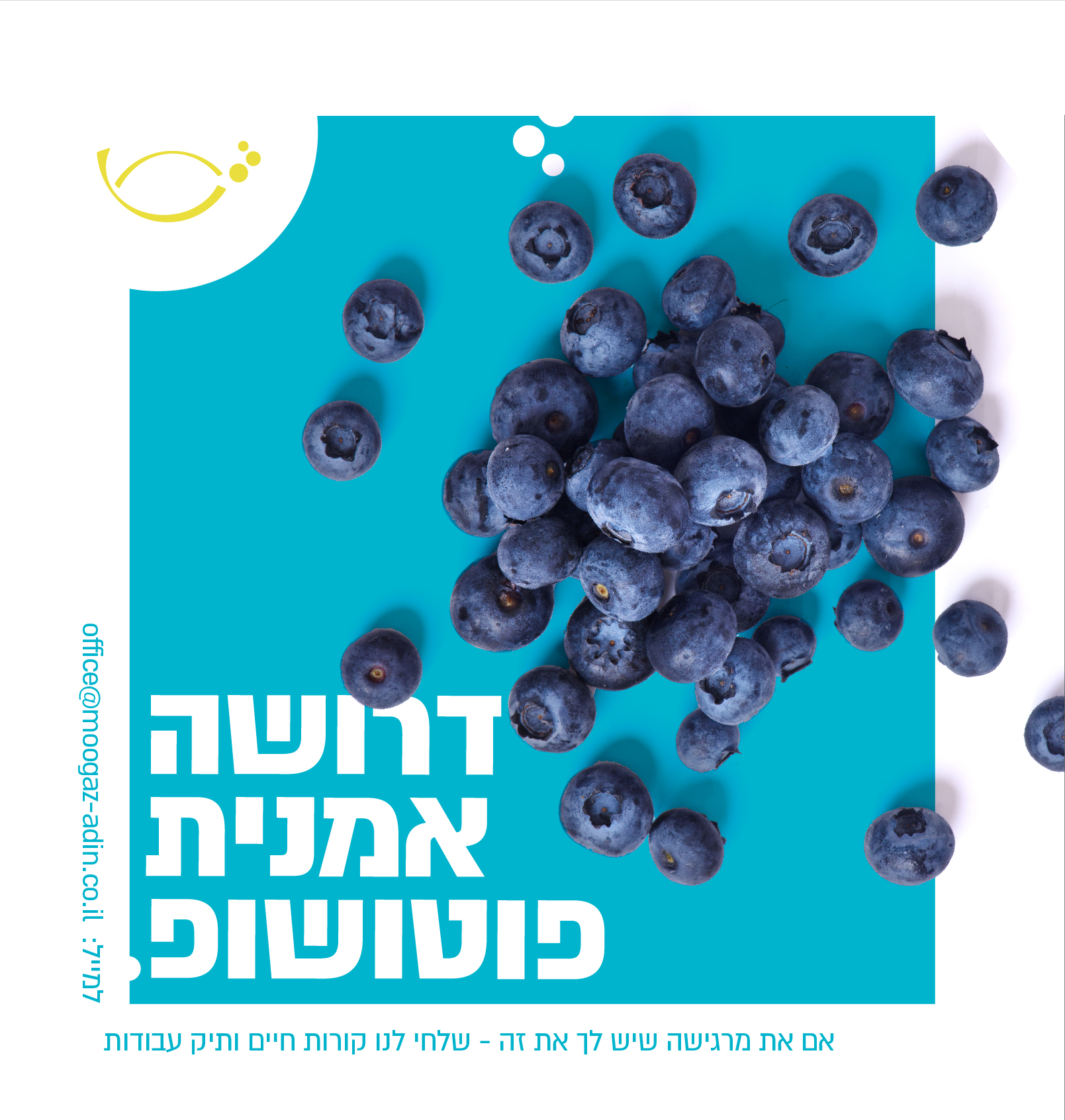 סדרה דרושה-10.jpg