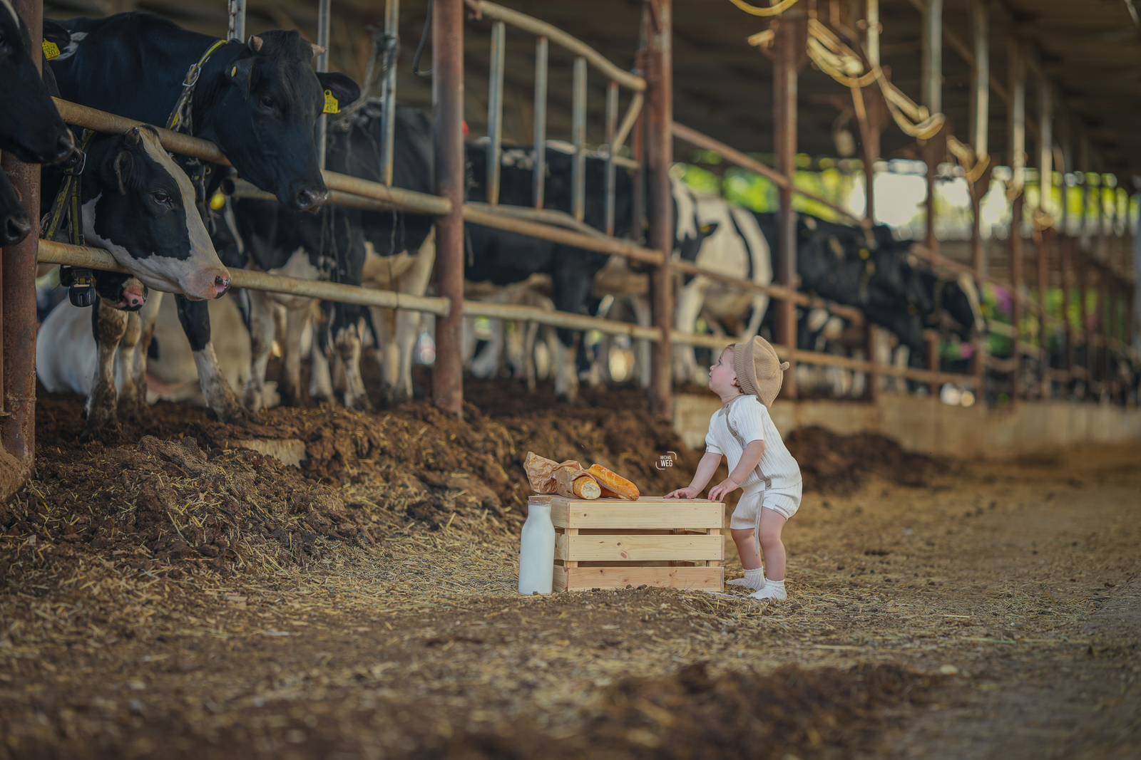 סויסה _ גיל שנה (204).jpg