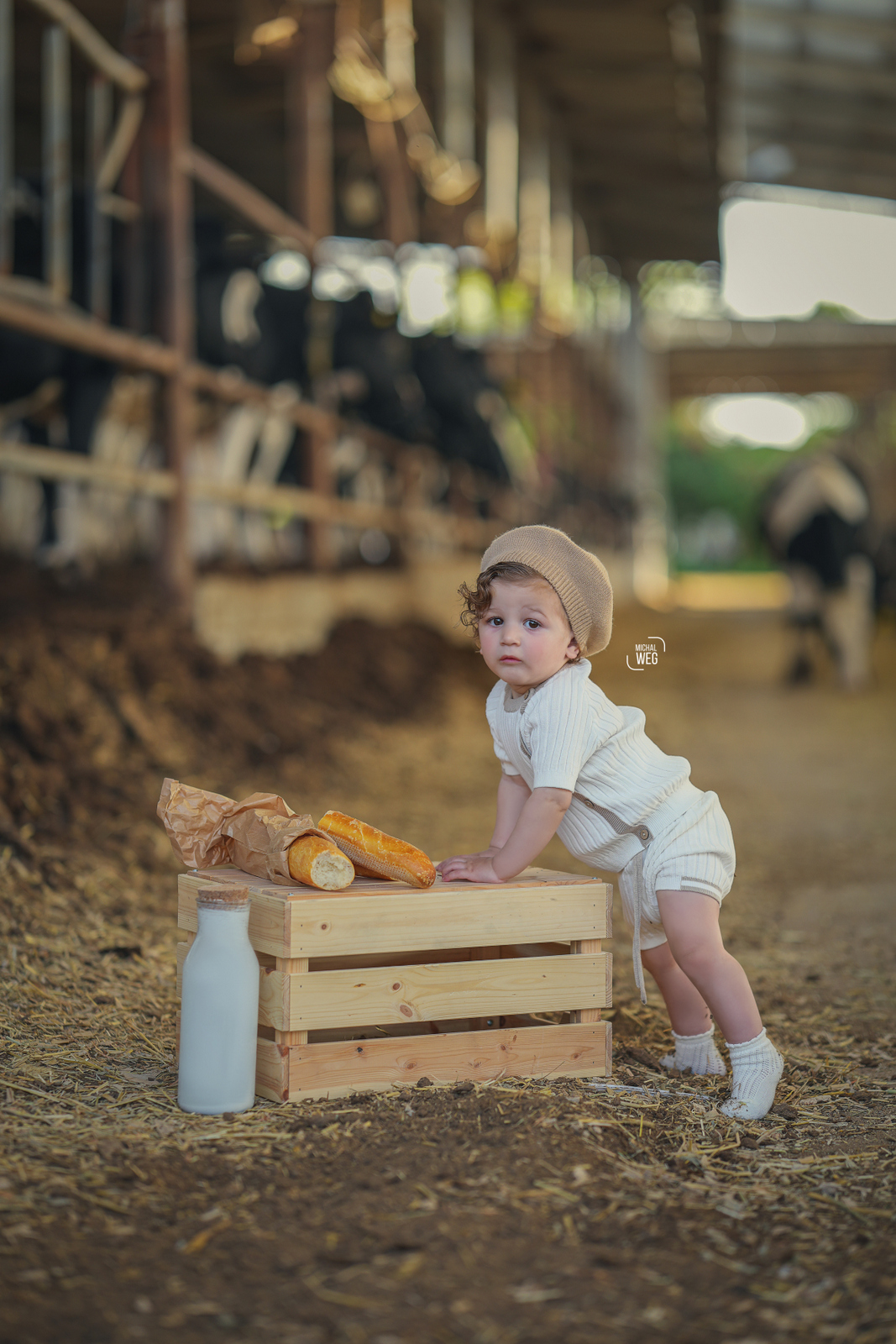סויסה _ גיל שנה (219).jpg