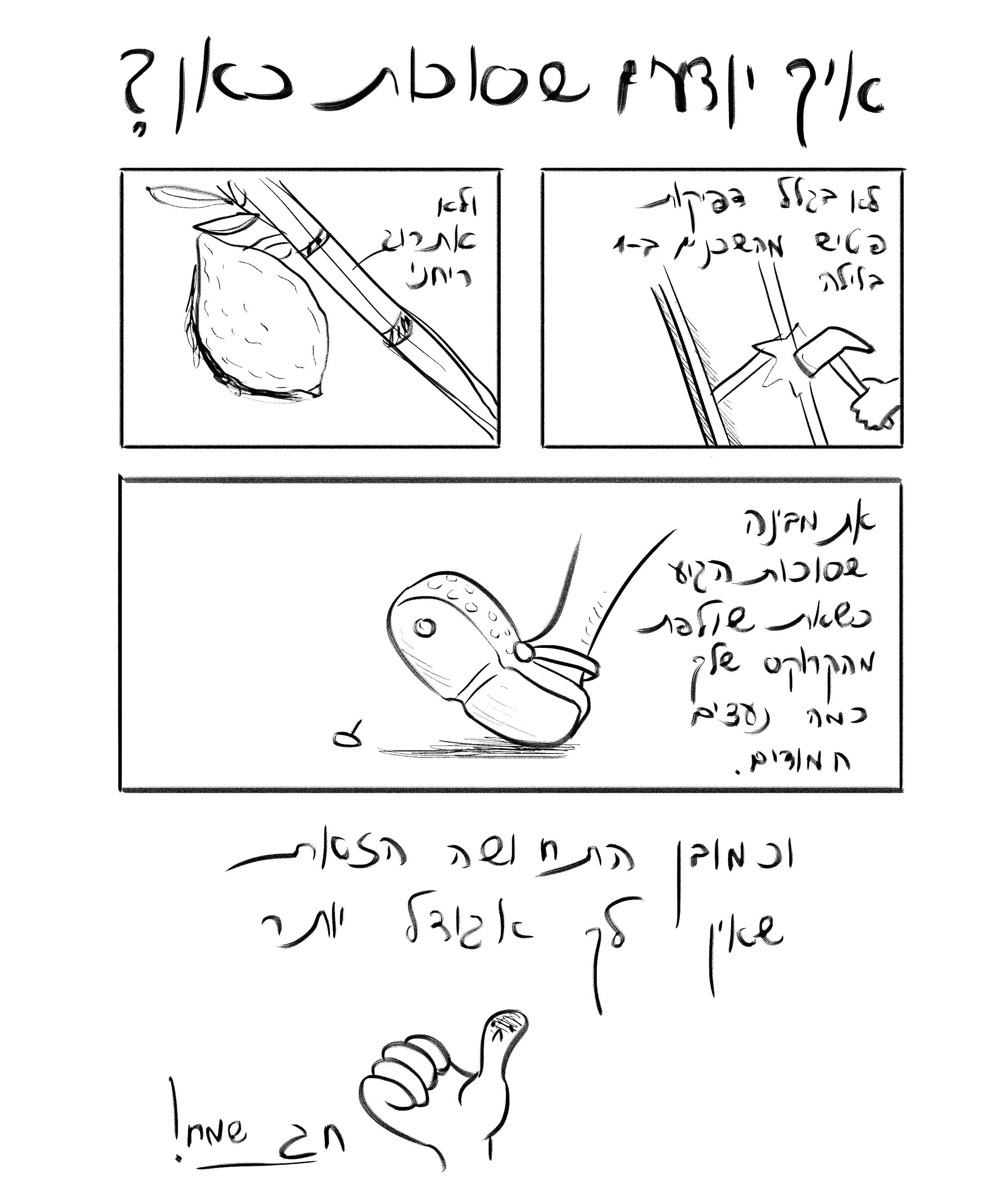 סוכות אכן כאן.jpg