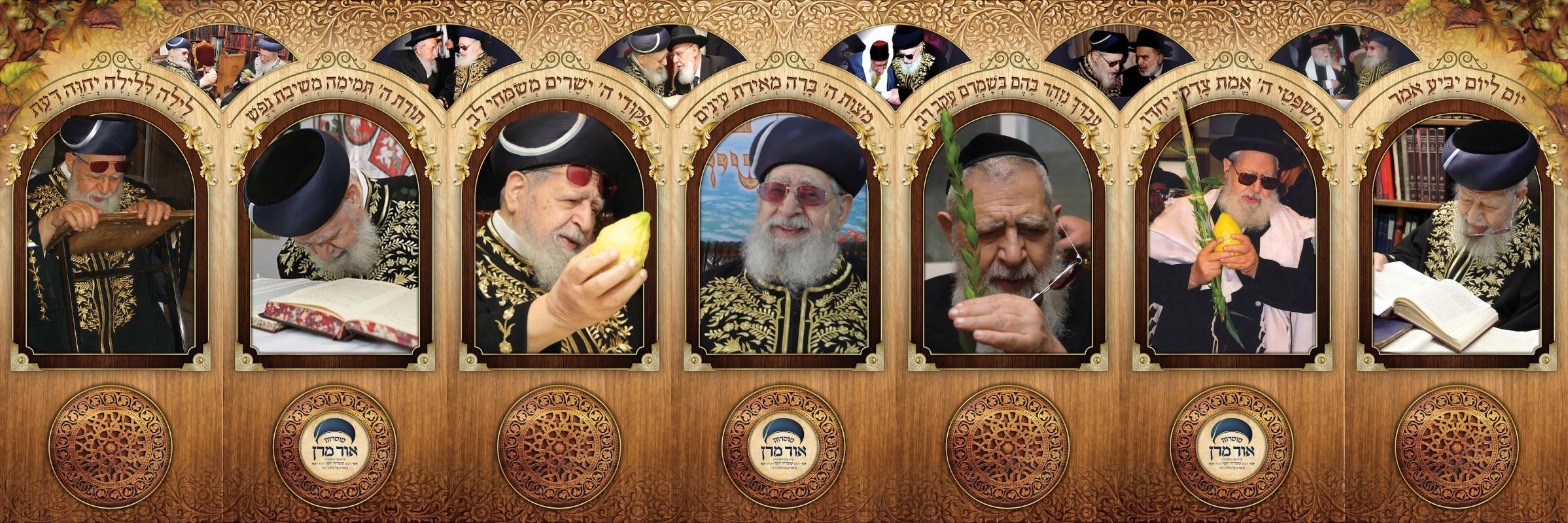 סוכת אורו של מרן -.jpg