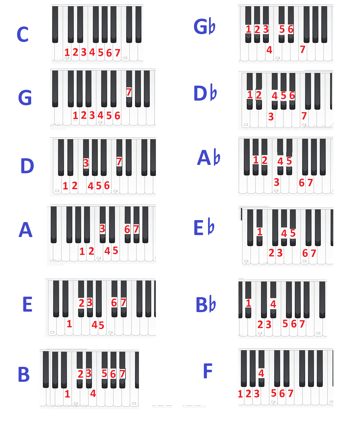 סולמות ממוספרים.png