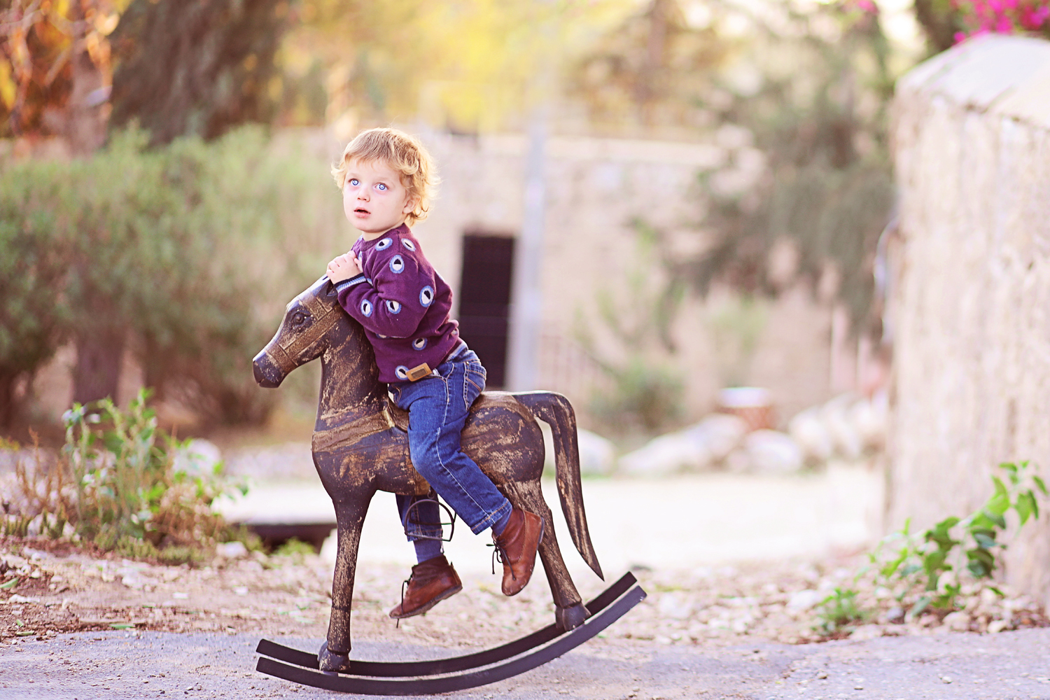 סוס מעובד קטן.jpg