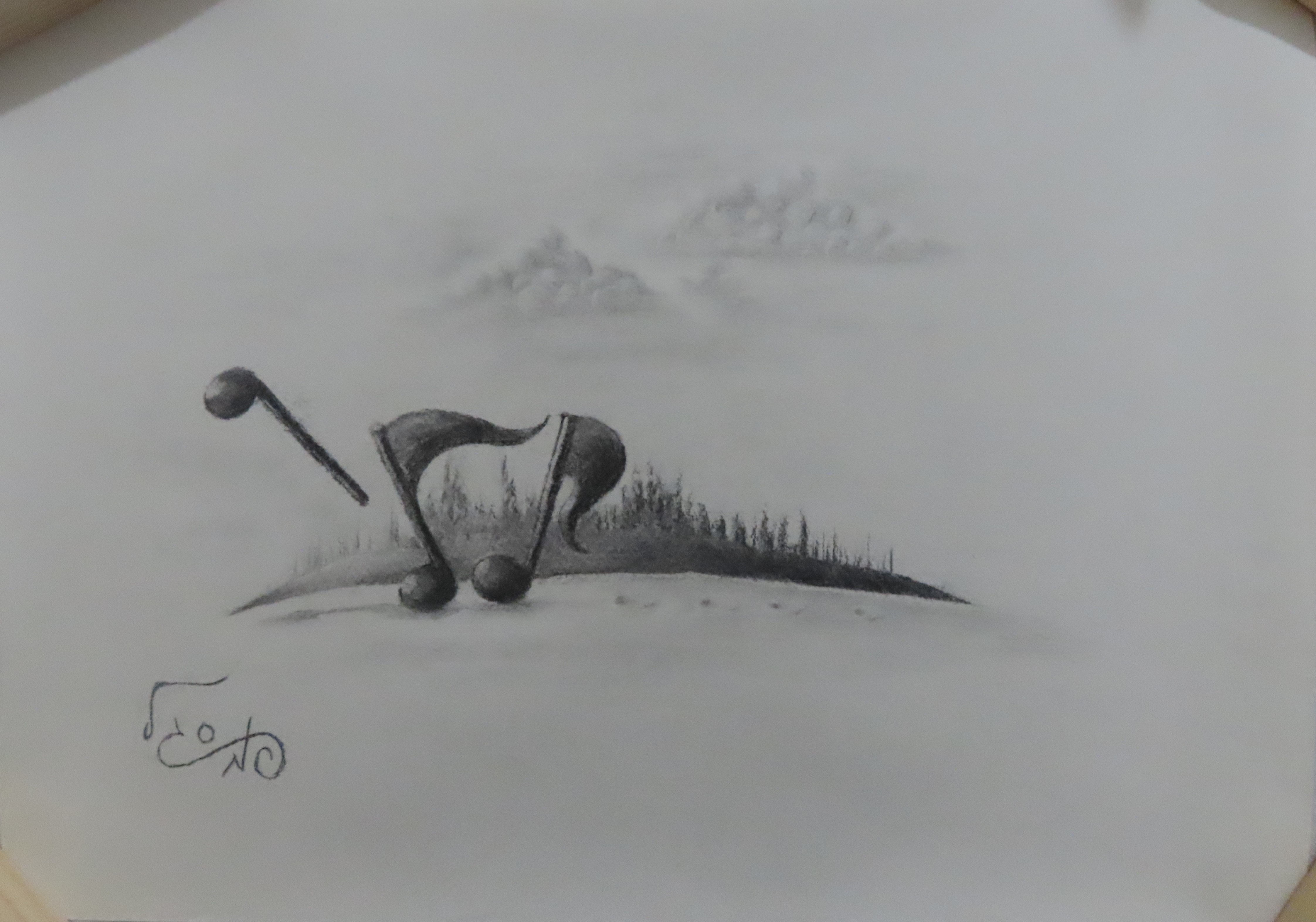 סוס תוי נגינה.JPG