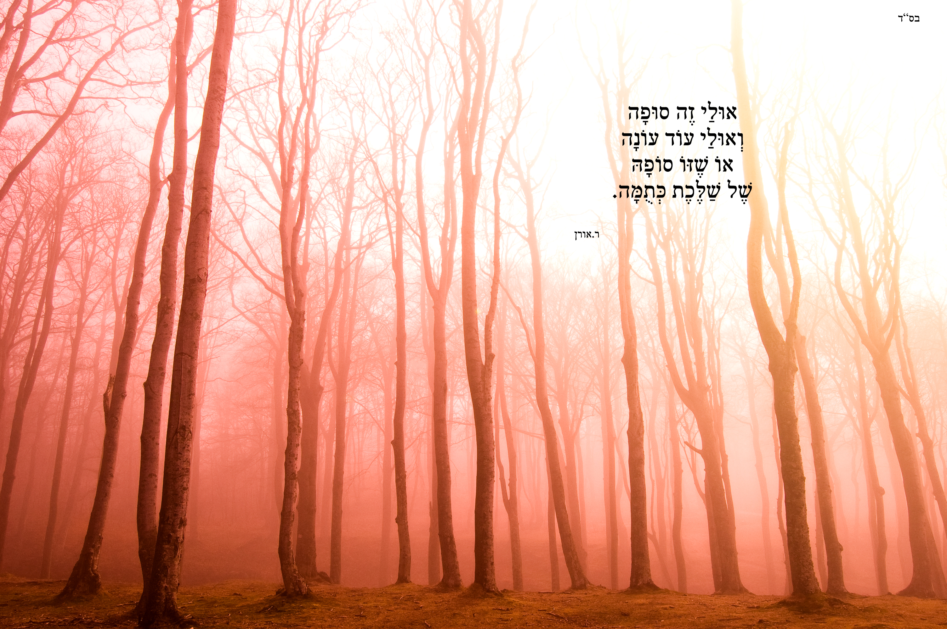 סופה של שלכת.רחל אורן.png