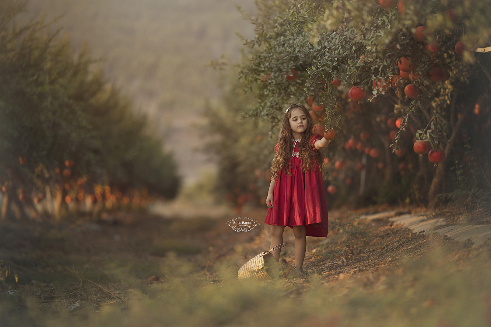 סופי לאיכות נמוכה.jpg