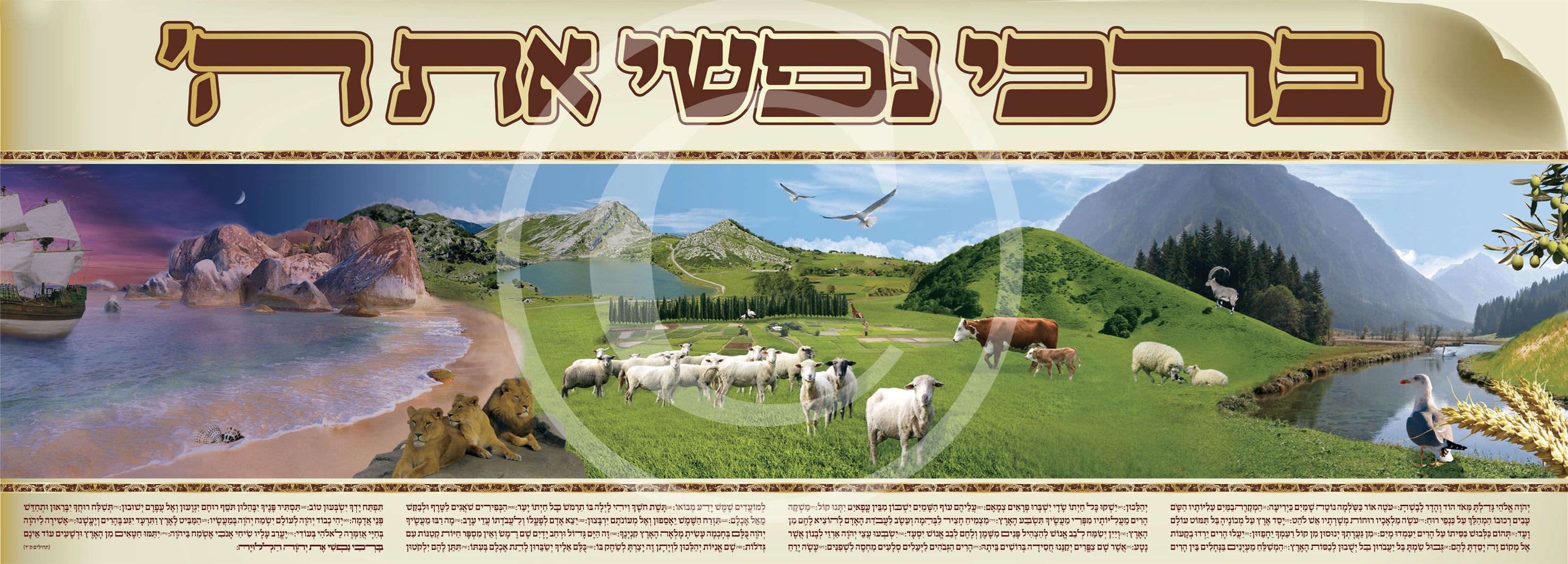 סופי לפרוג.jpg