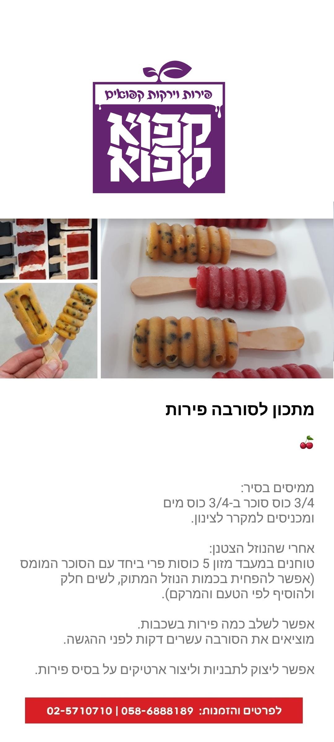 סורבה פירות.jpeg