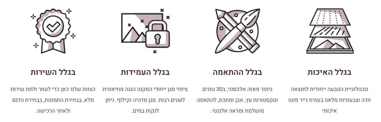 סטריפ פיקצר.jpg