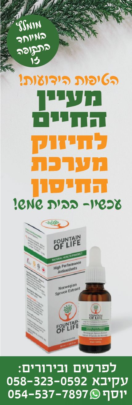 סטריפ 377-01.jpg
